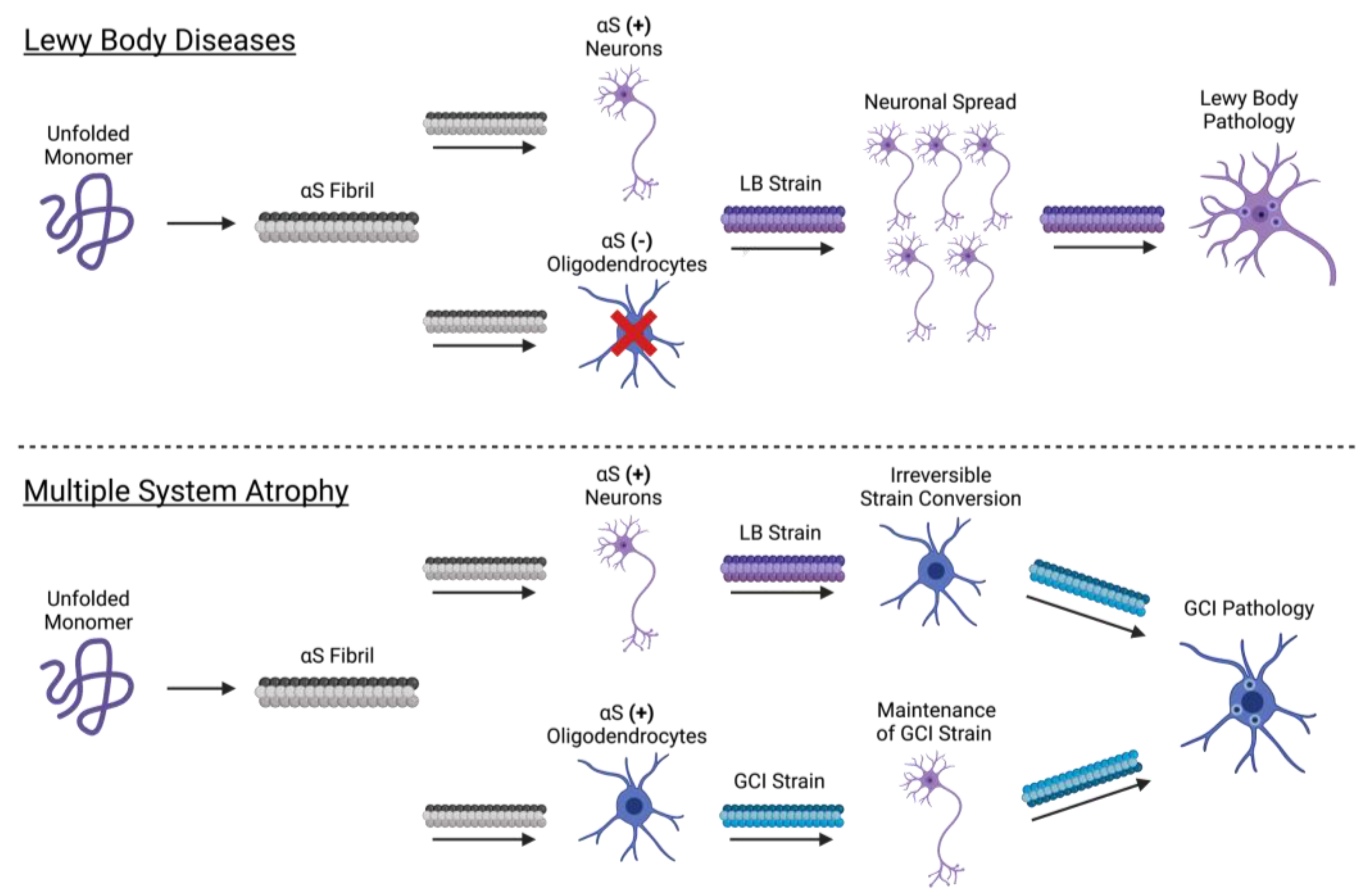 Biomolecules 12 00994 g002