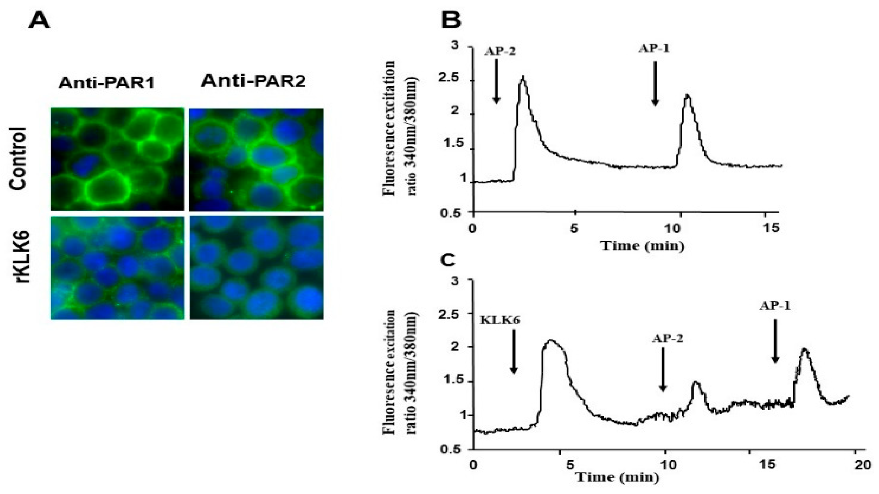 Biomolecules 12 01003 g003 Biomolecules 12 01003 g003