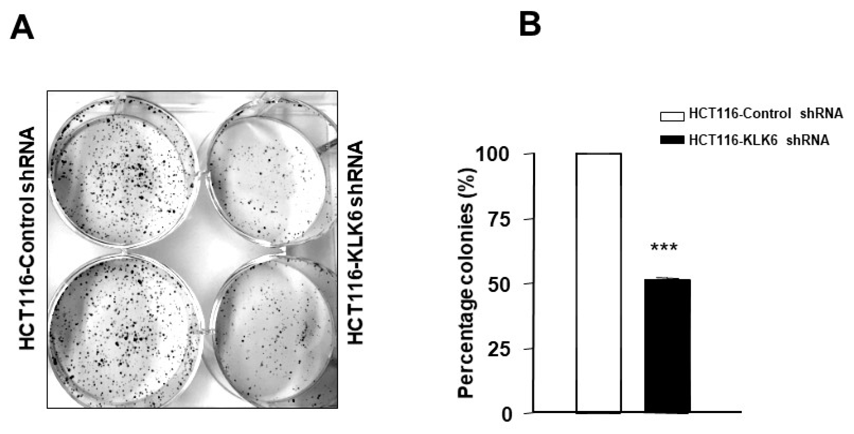 Biomolecules 12 01003 g005 Biomolecules 12 01003 g005