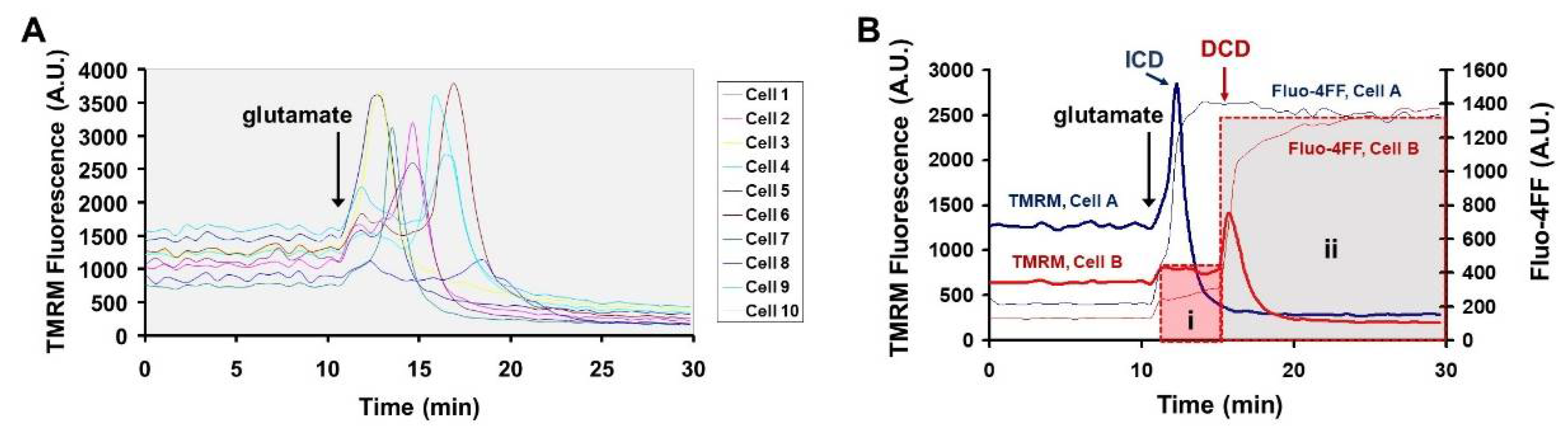 Biomolecules 12 01004 g003