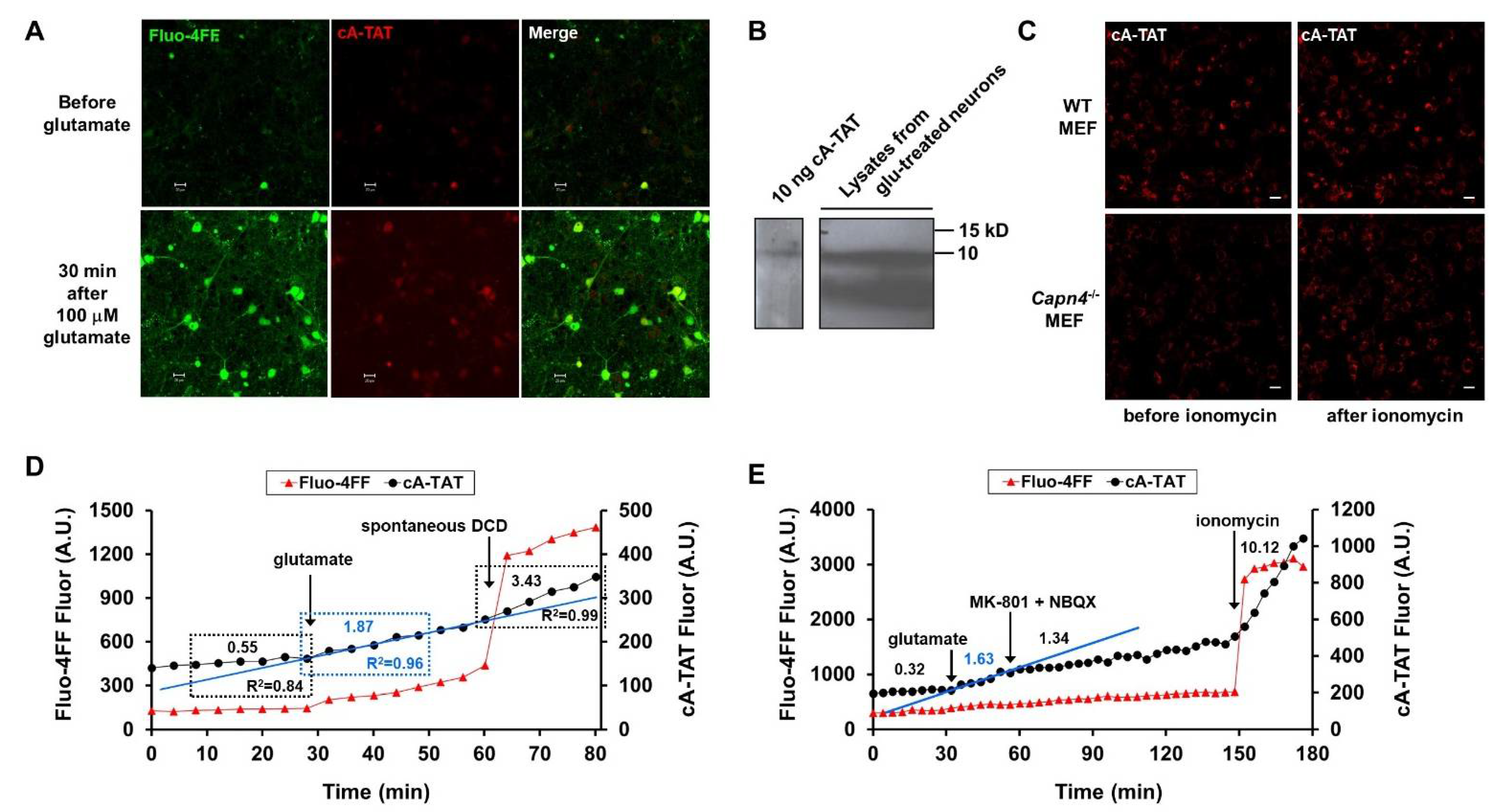 Biomolecules 12 01004 g004