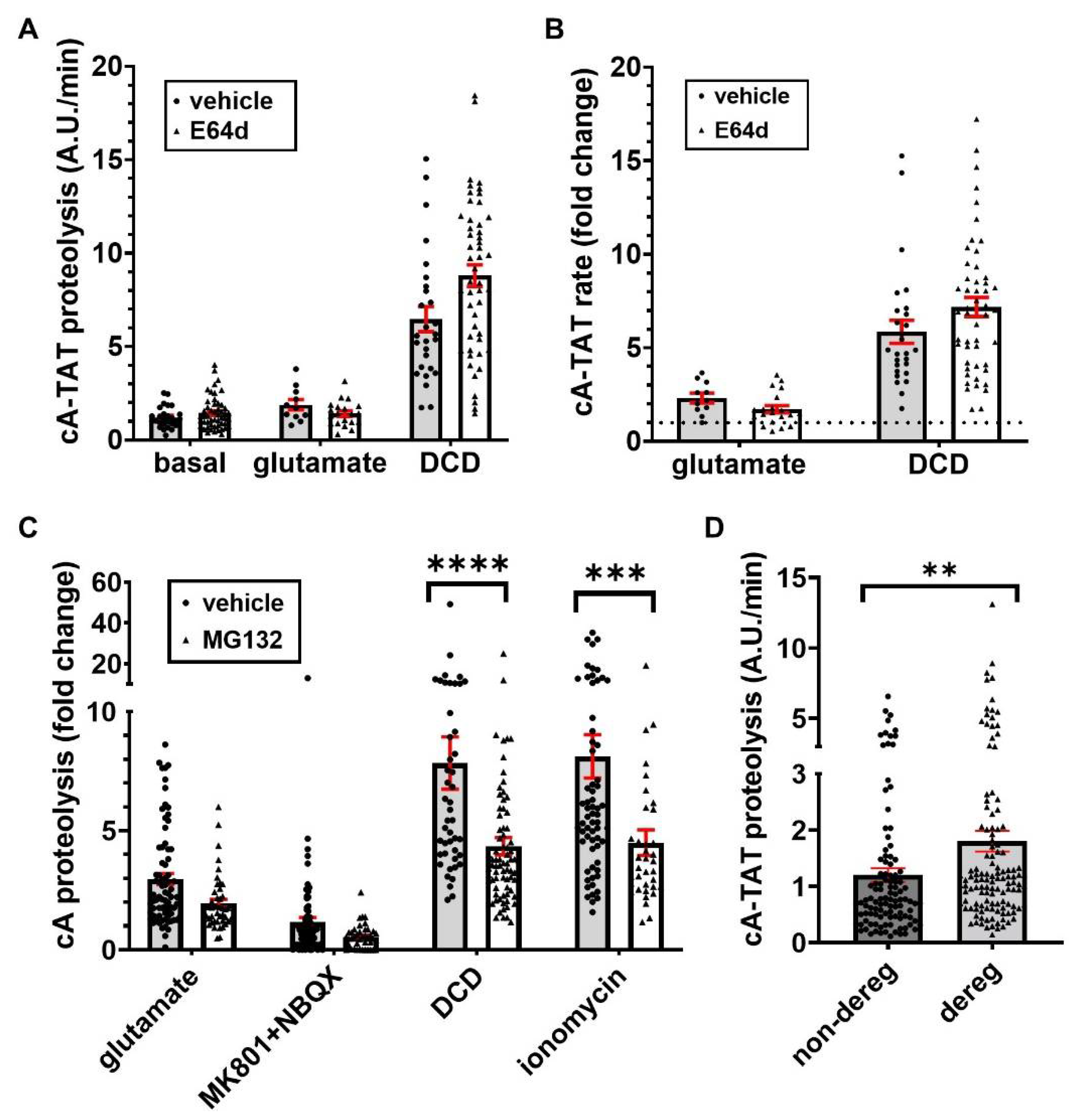 Biomolecules 12 01004 g005