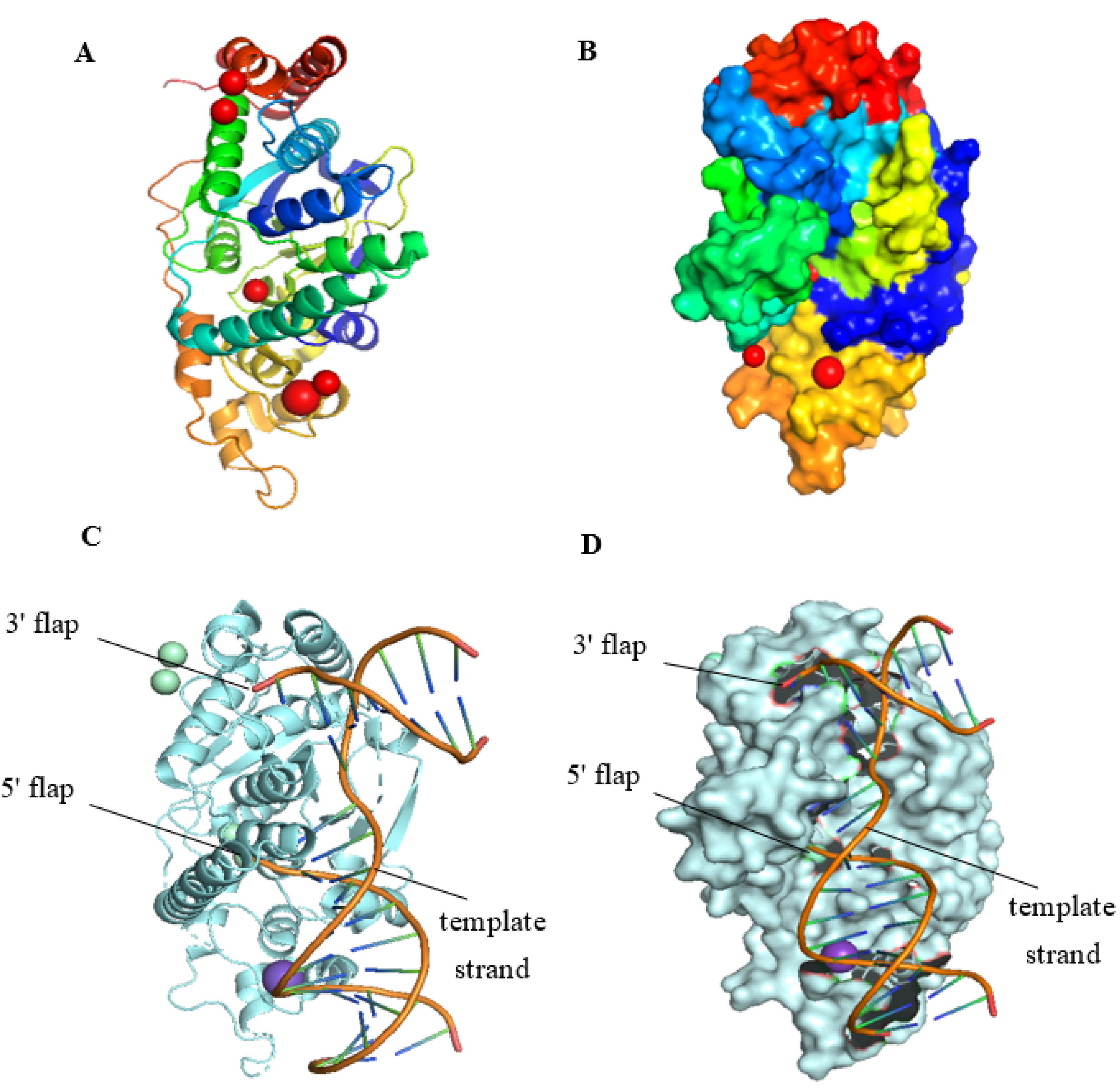 Biomolecules 12 01007 g001