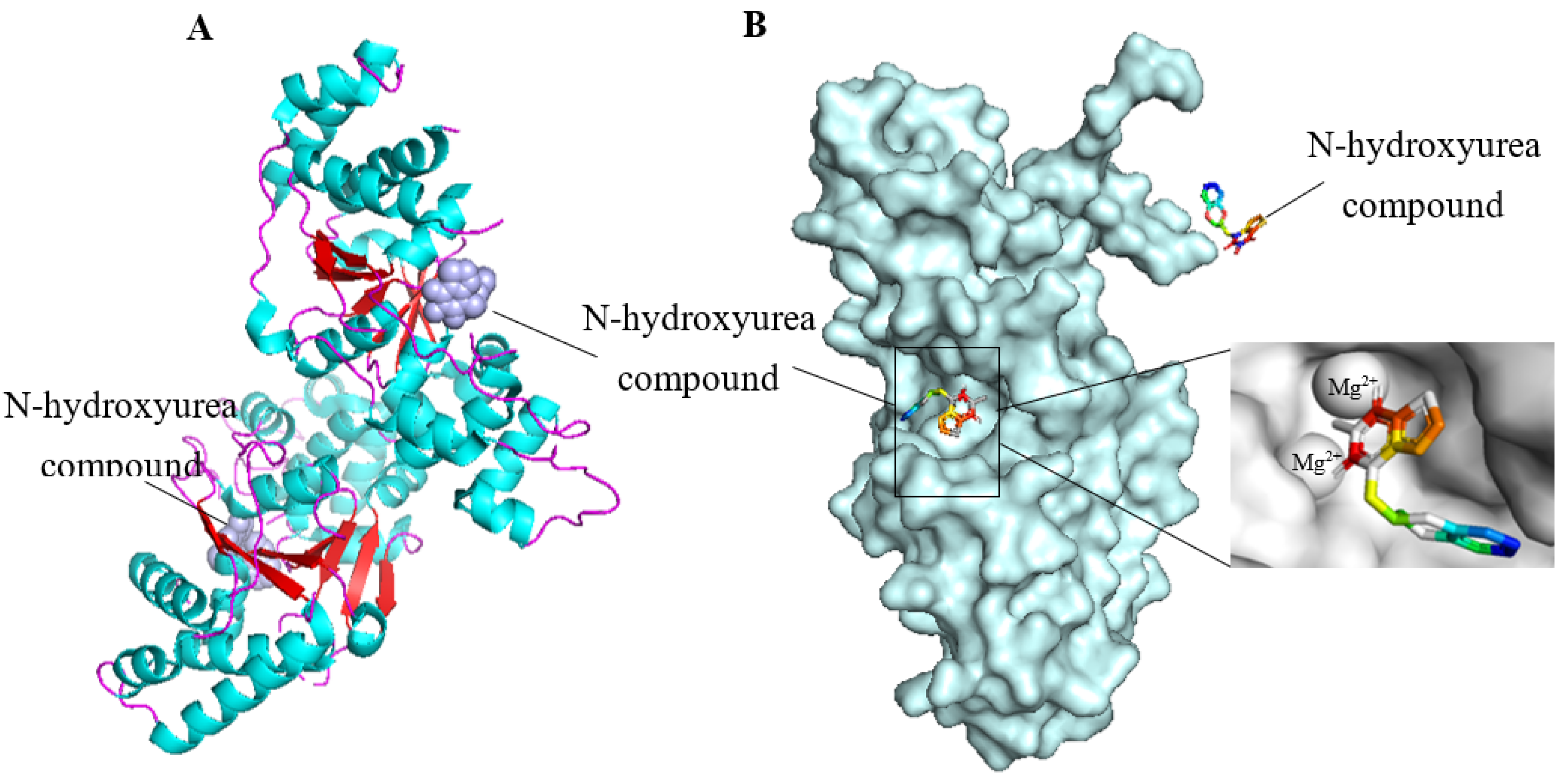 Biomolecules 12 01007 g005