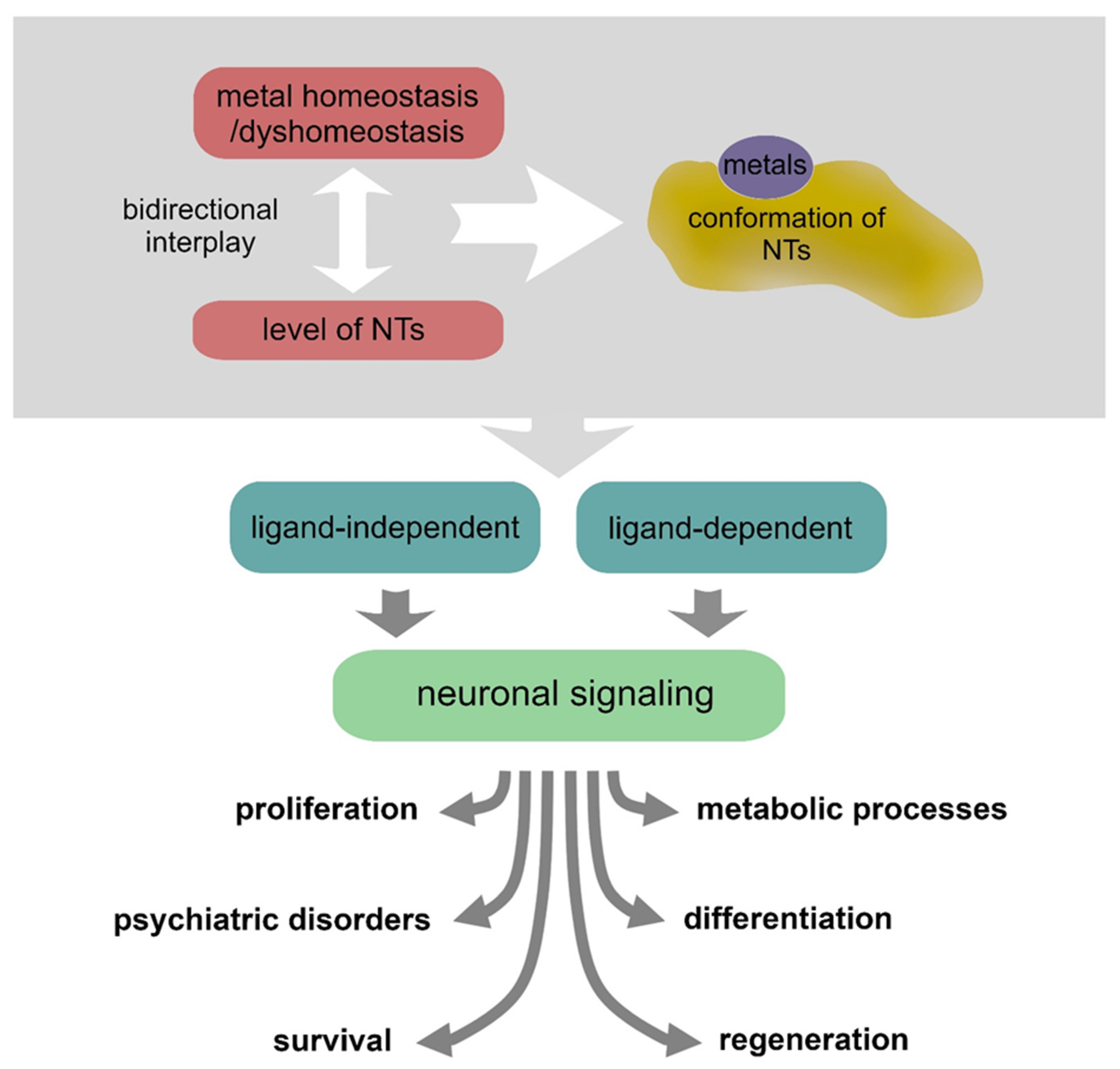 Biomolecules 12 01015 g002