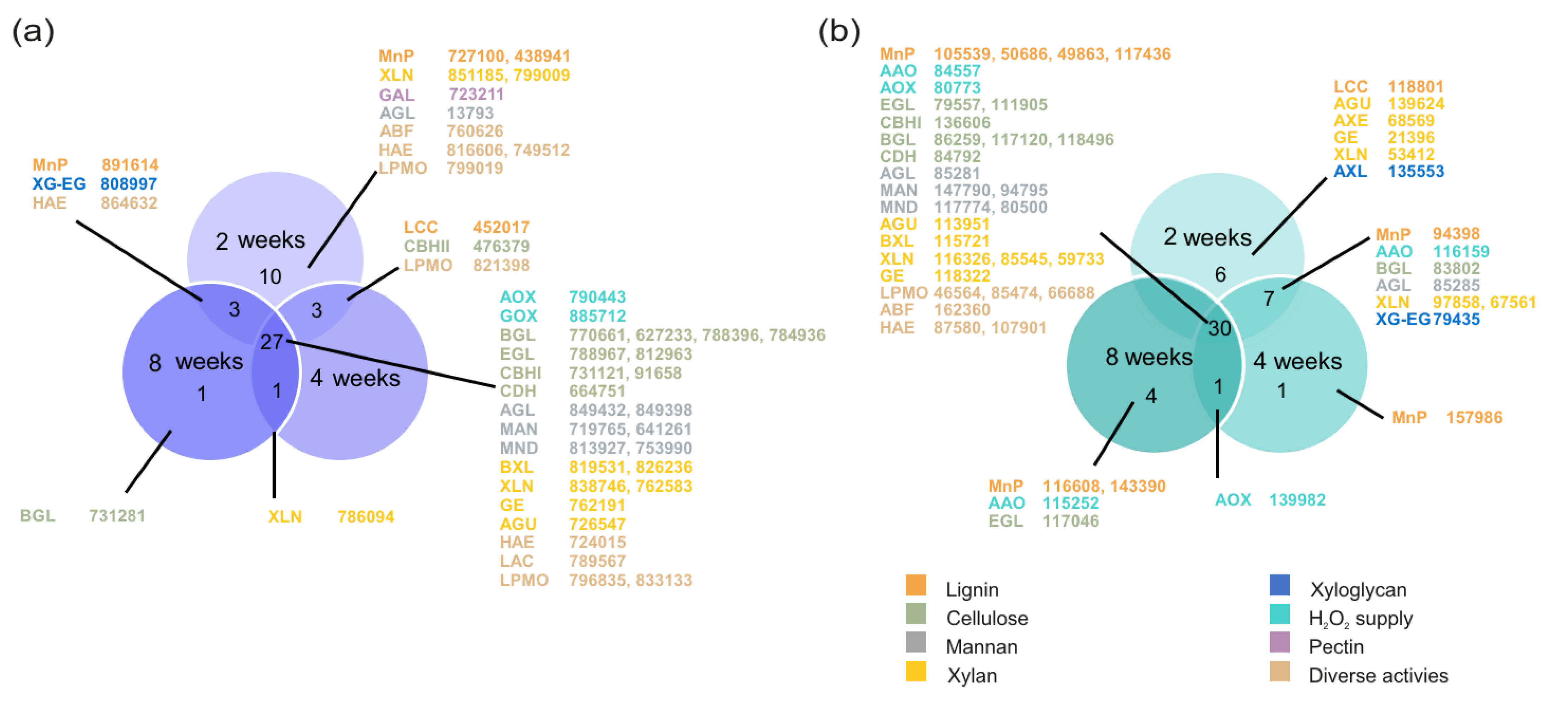 Biomolecules 12 01017 g002 Biomolecules 12 01017 g002