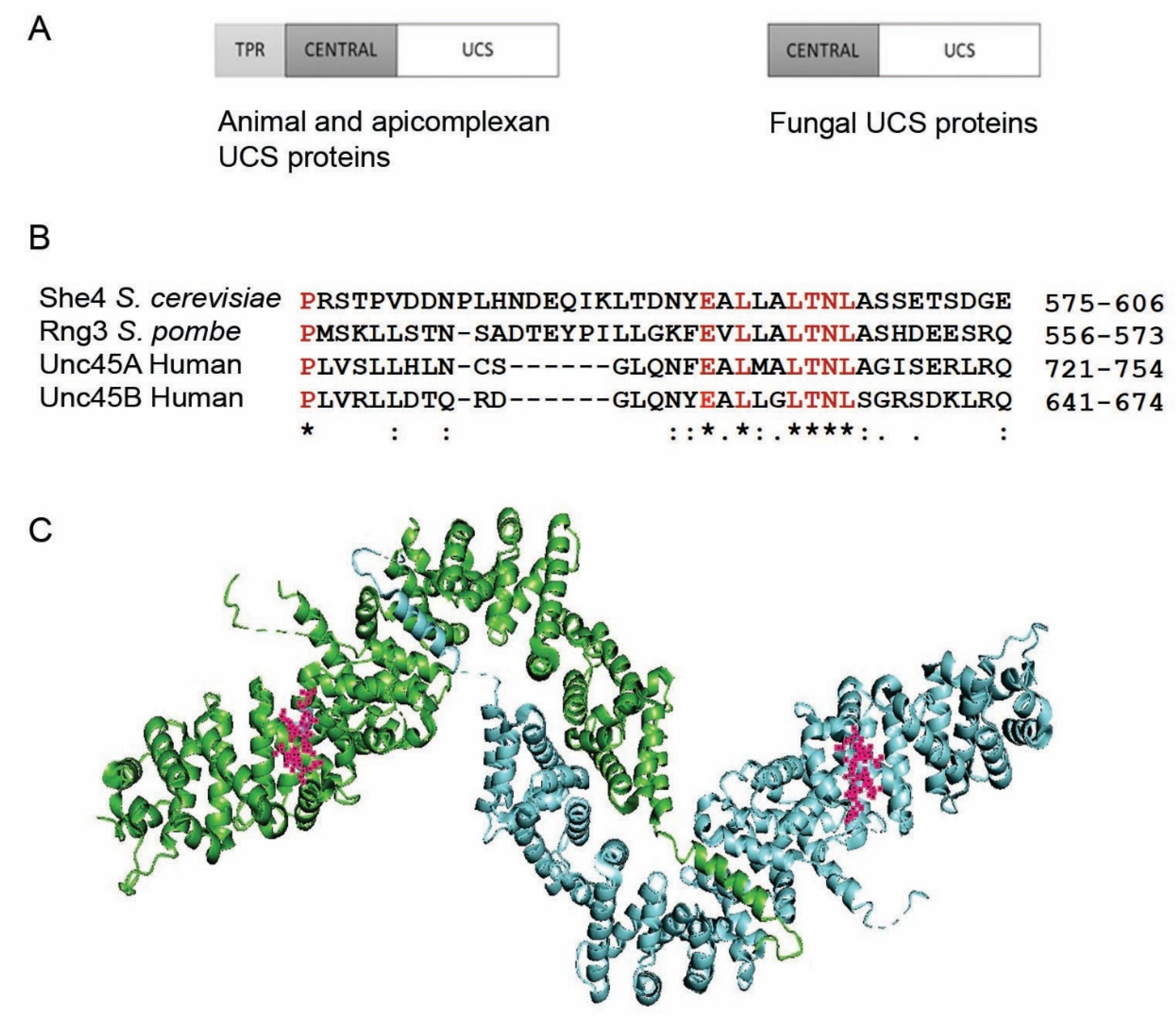 Biomolecules 12 01028 g001 Biomolecules 12 01028 g001