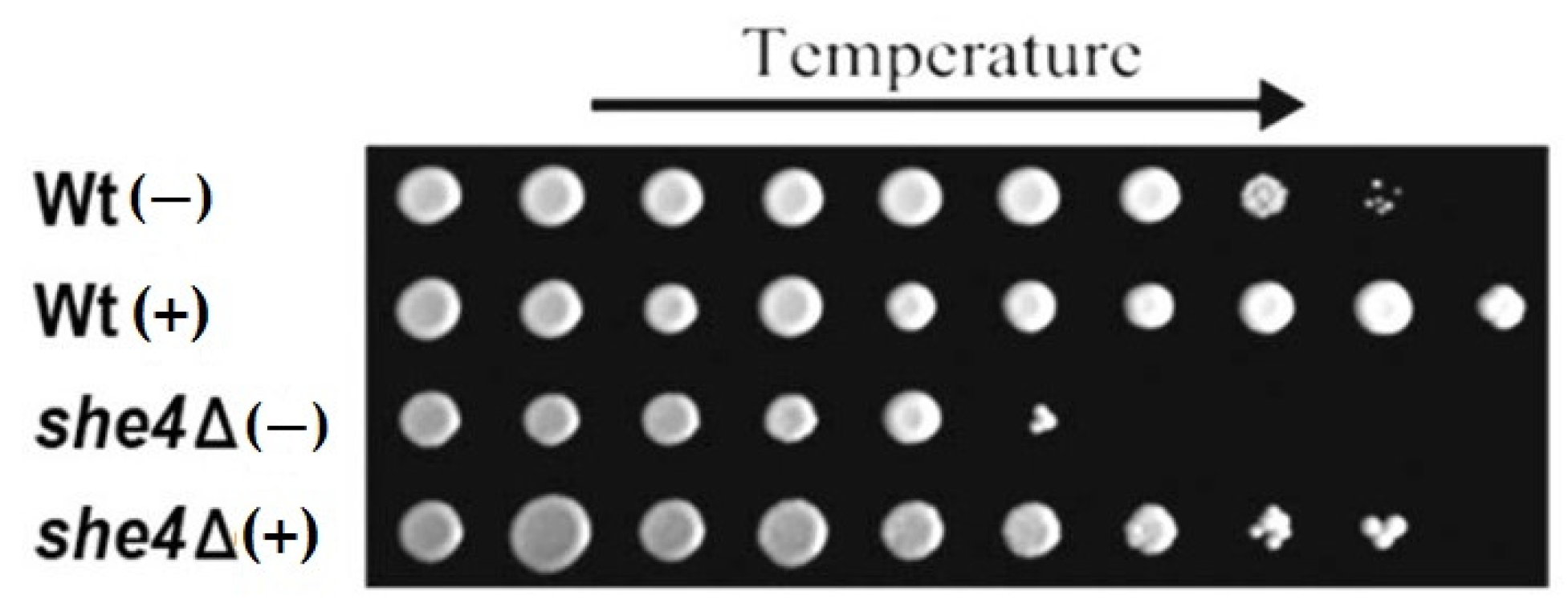 Biomolecules 12 01028 g002 Biomolecules 12 01028 g002