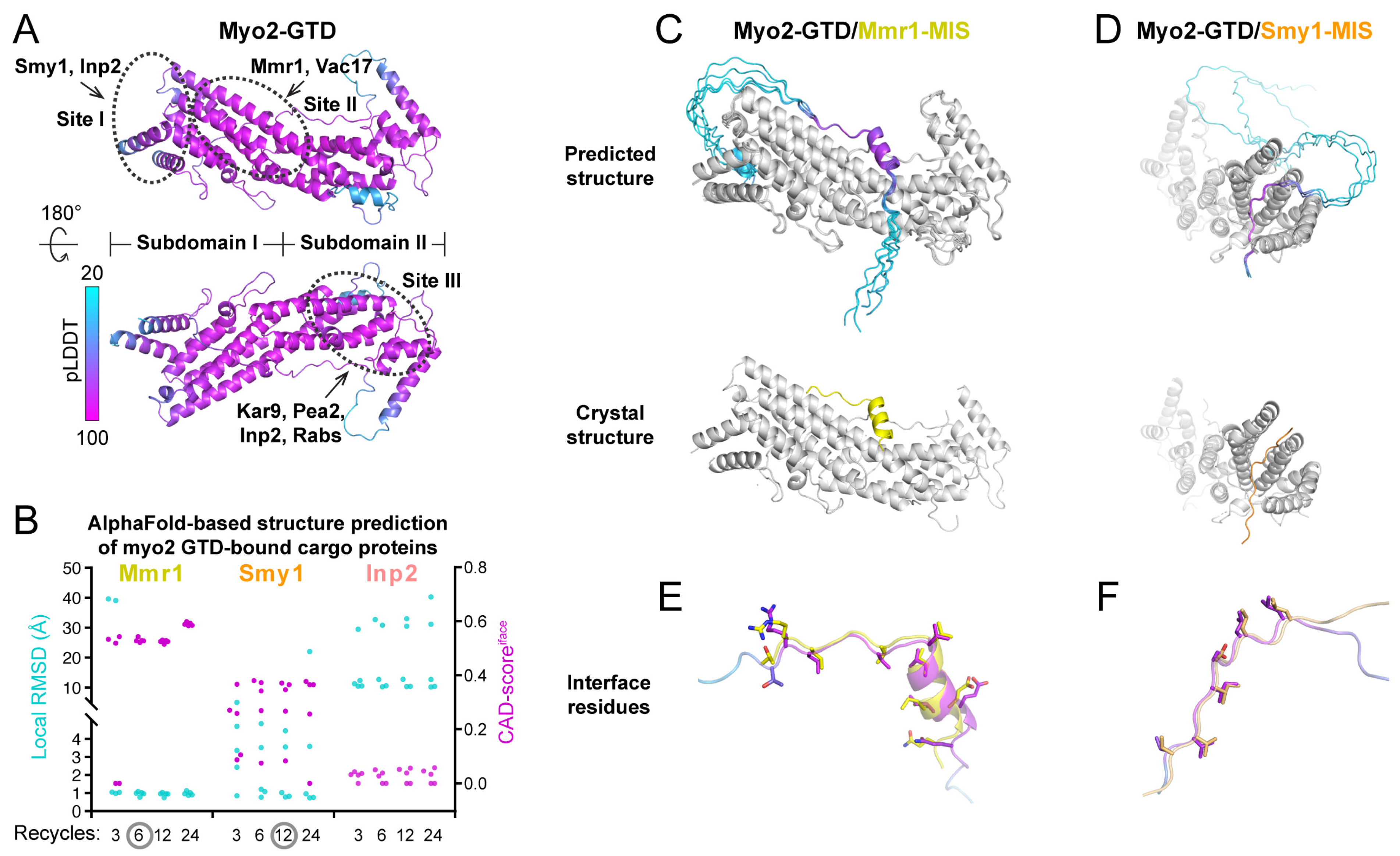 Biomolecules 12 01032 g001