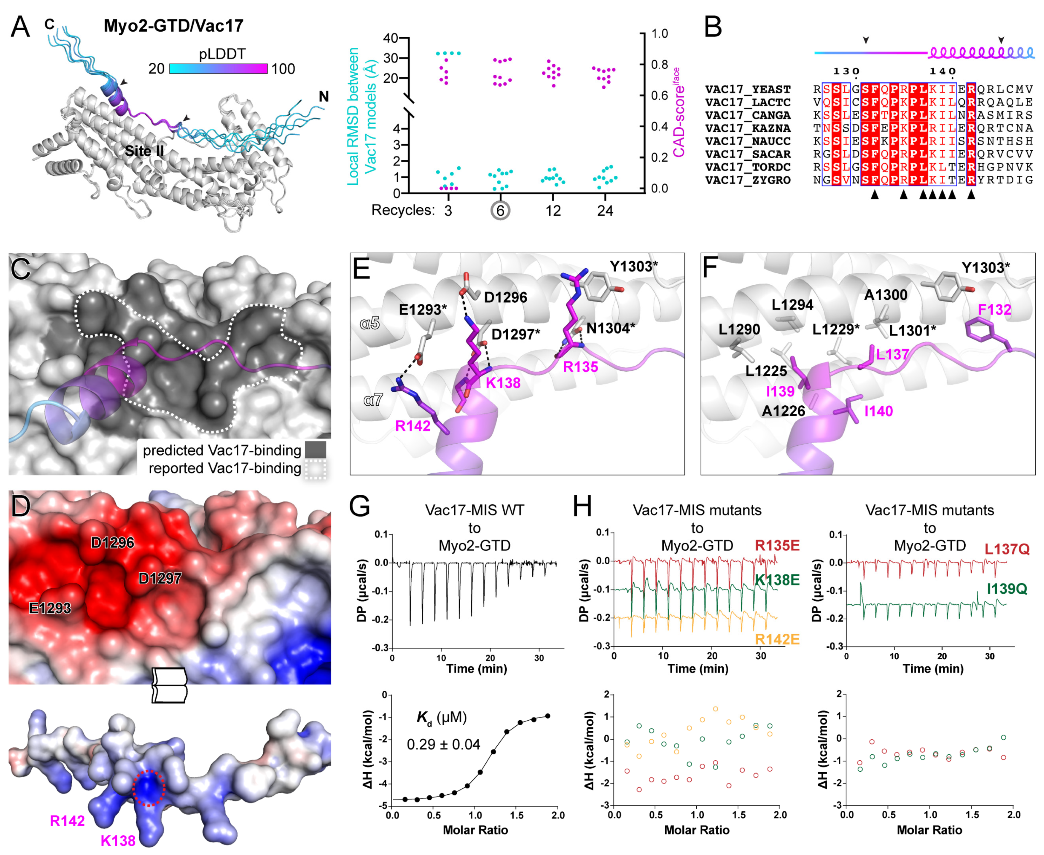 Biomolecules 12 01032 g002