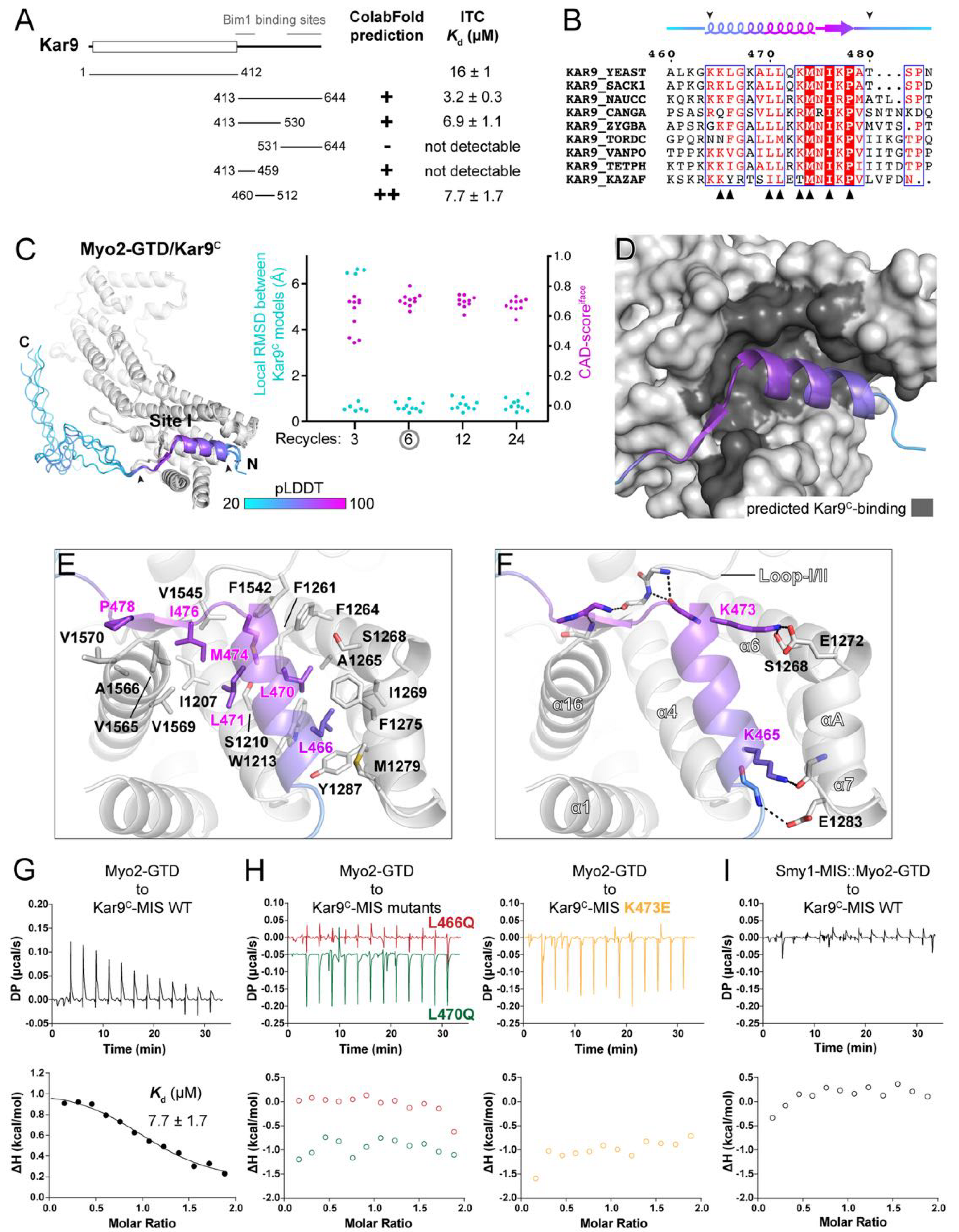 Biomolecules 12 01032 g003