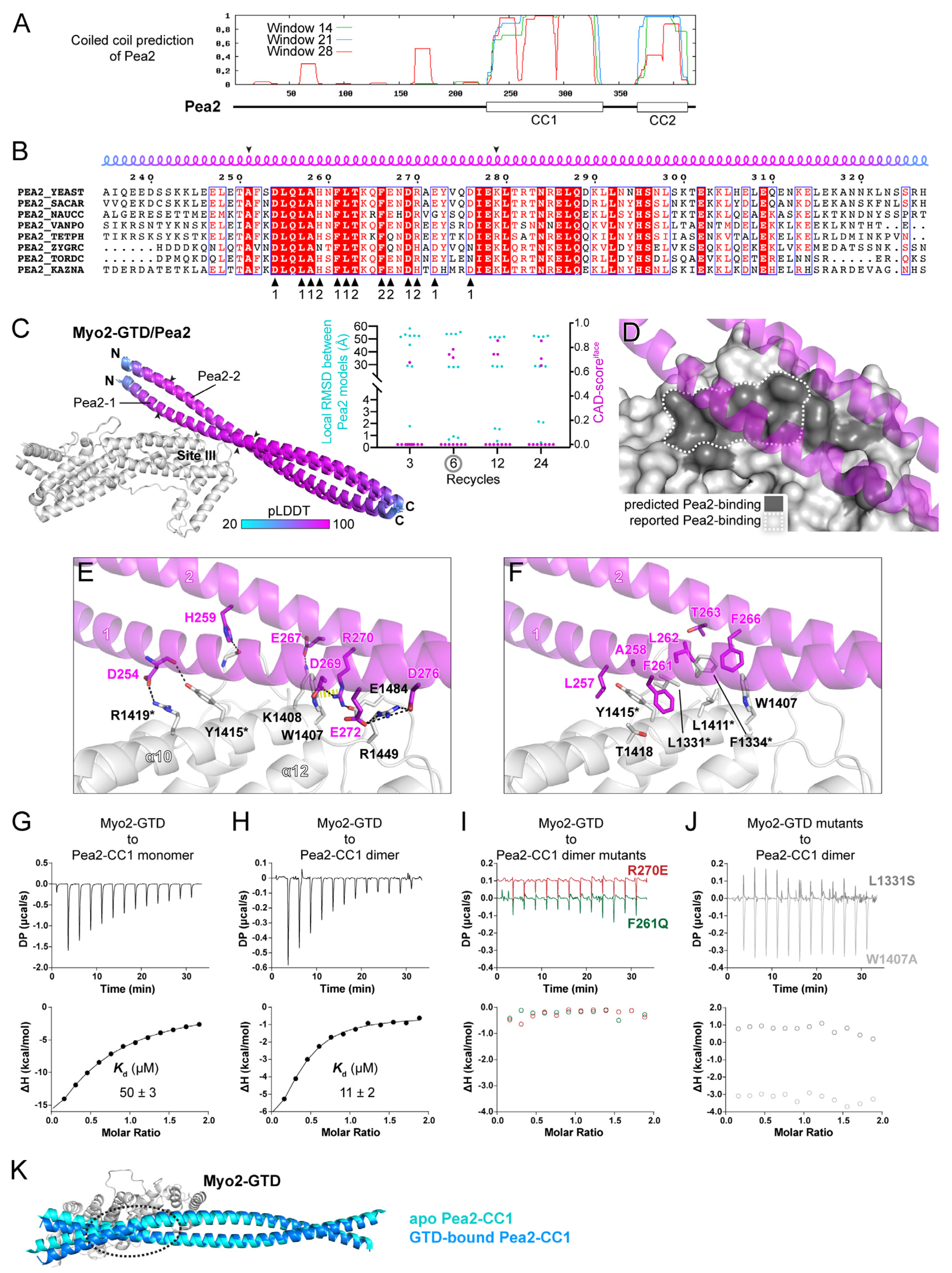Biomolecules 12 01032 g004