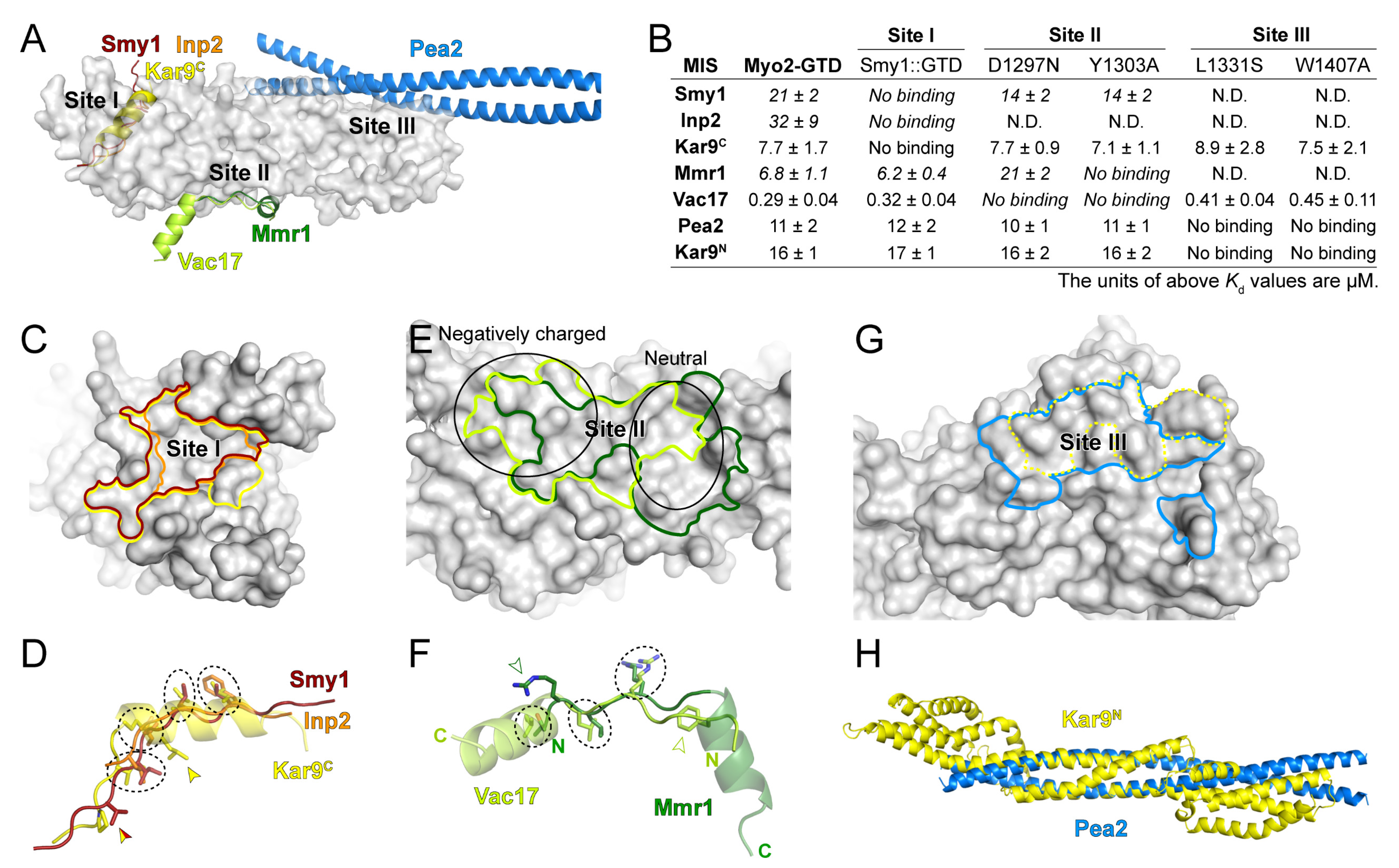 Biomolecules 12 01032 g005