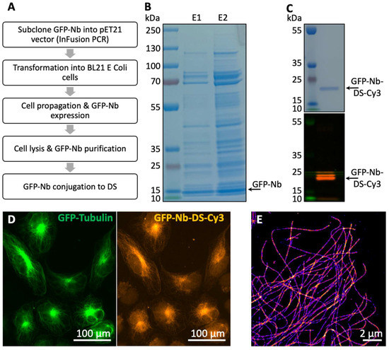 Biomolecules 12 01033 g0a1