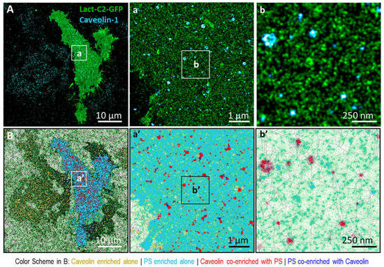 Biomolecules 12 01033 g0a3