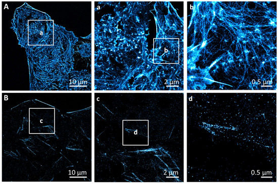 Biomolecules 12 01033 g0a4
