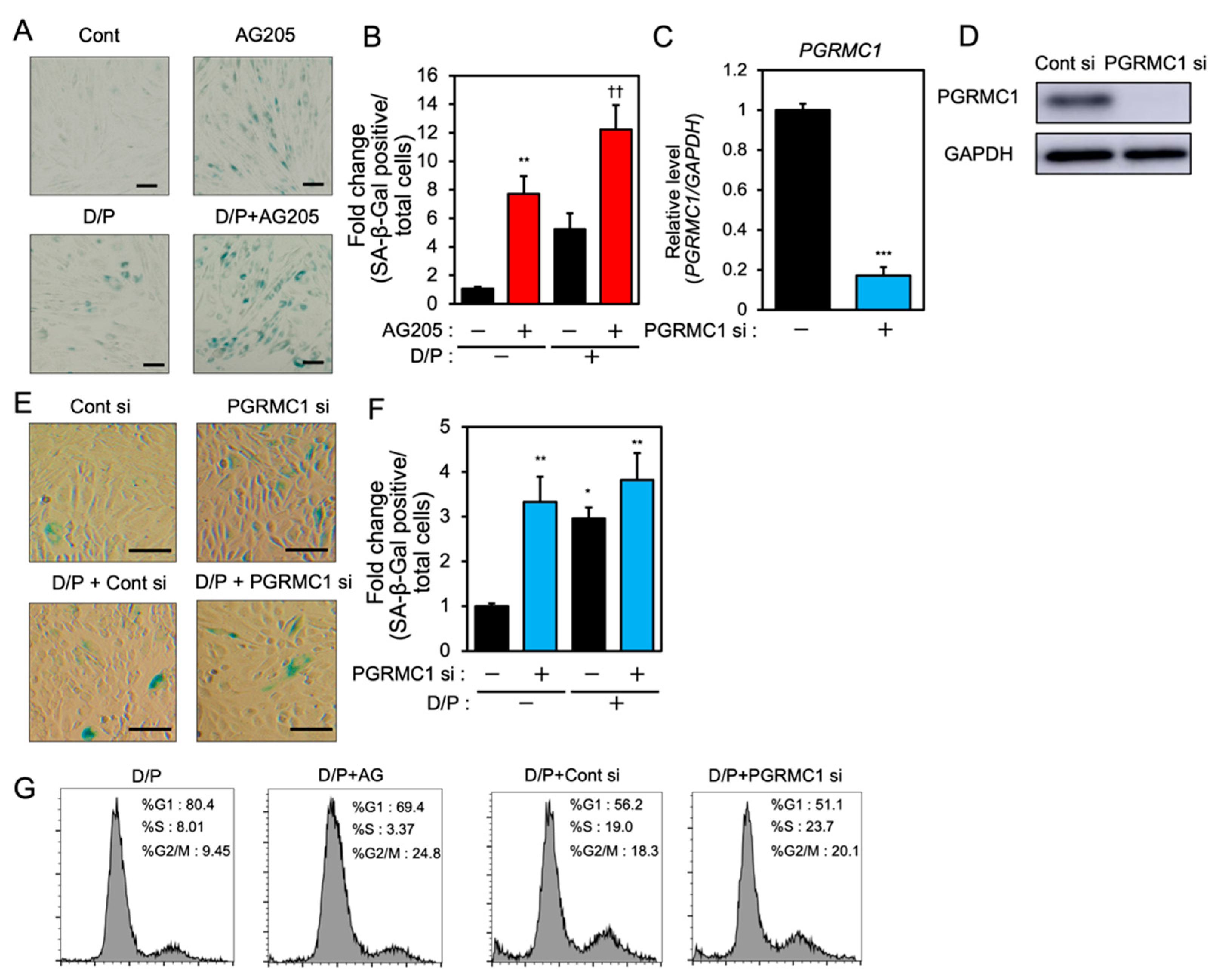Biomolecules 12 01046 g001