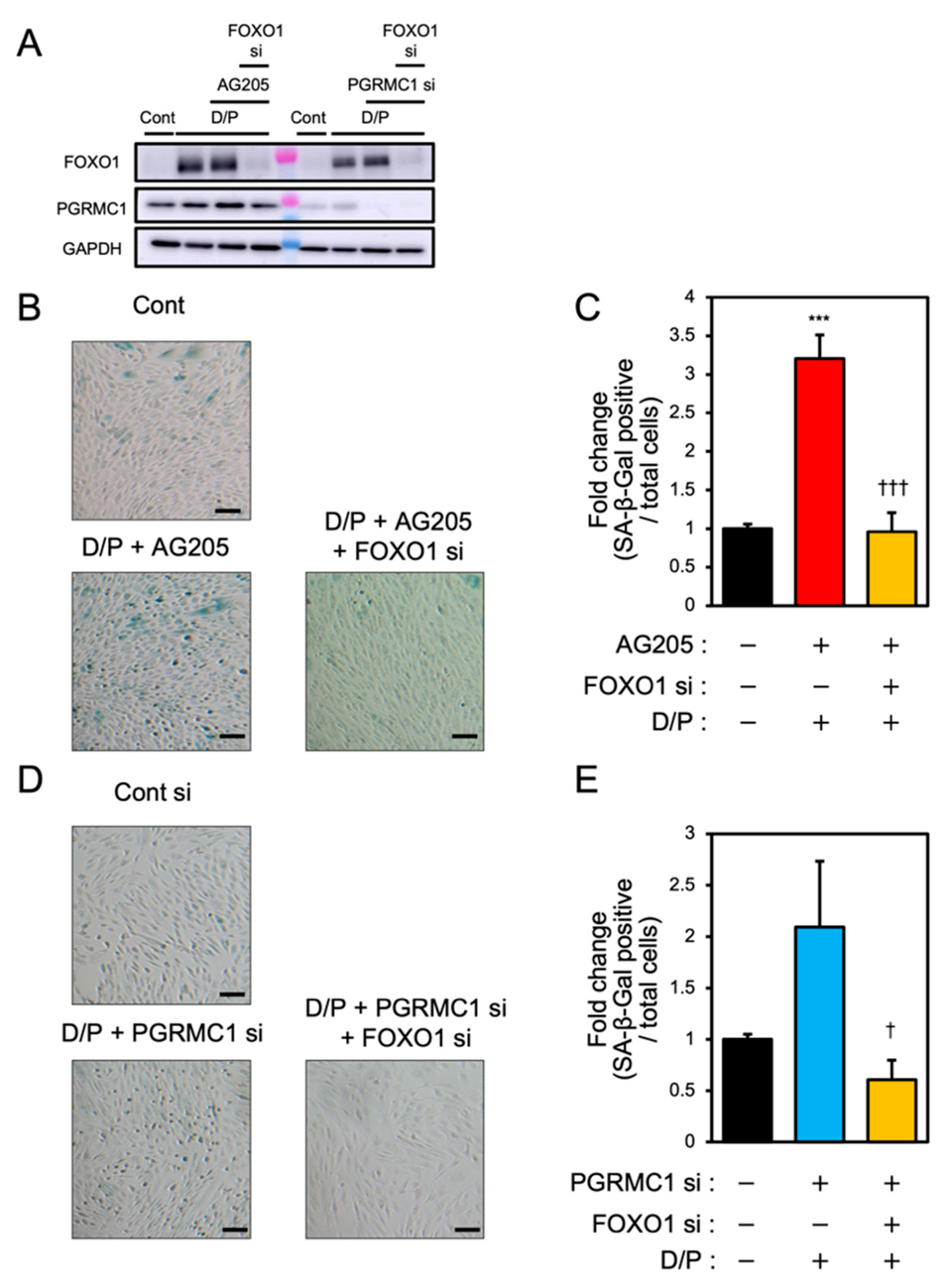 Biomolecules 12 01046 g005