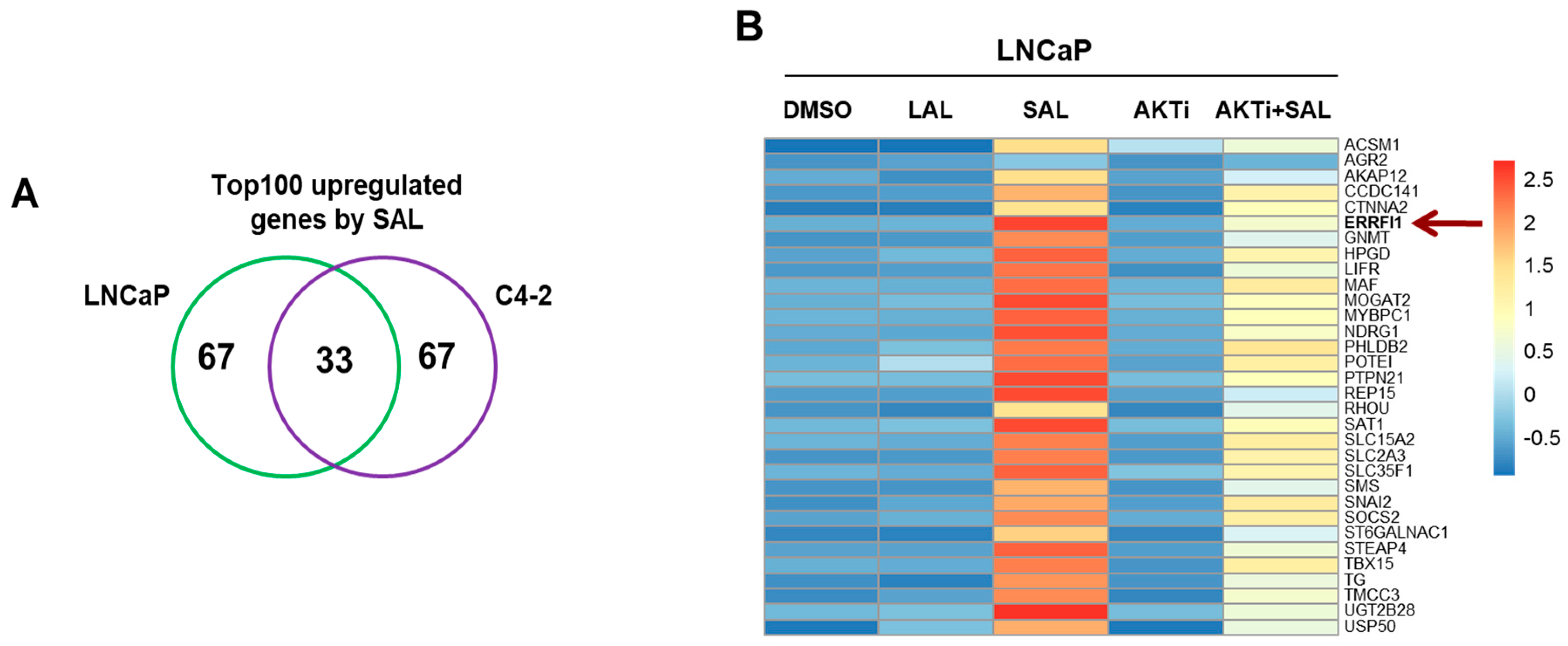Biomolecules 12 01048 g001a Biomolecules 12 01048 g001a