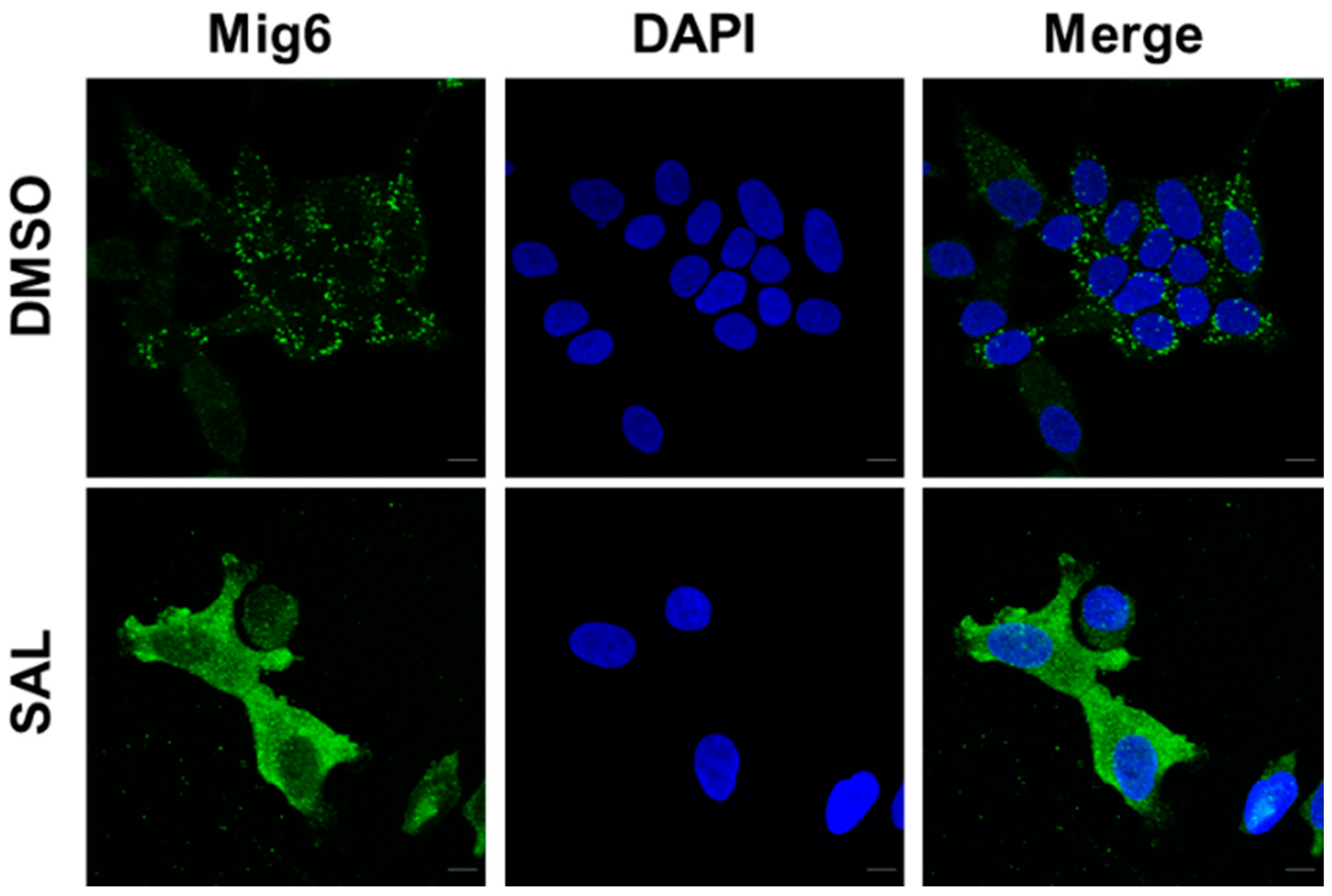 Biomolecules 12 01048 g003 Biomolecules 12 01048 g003