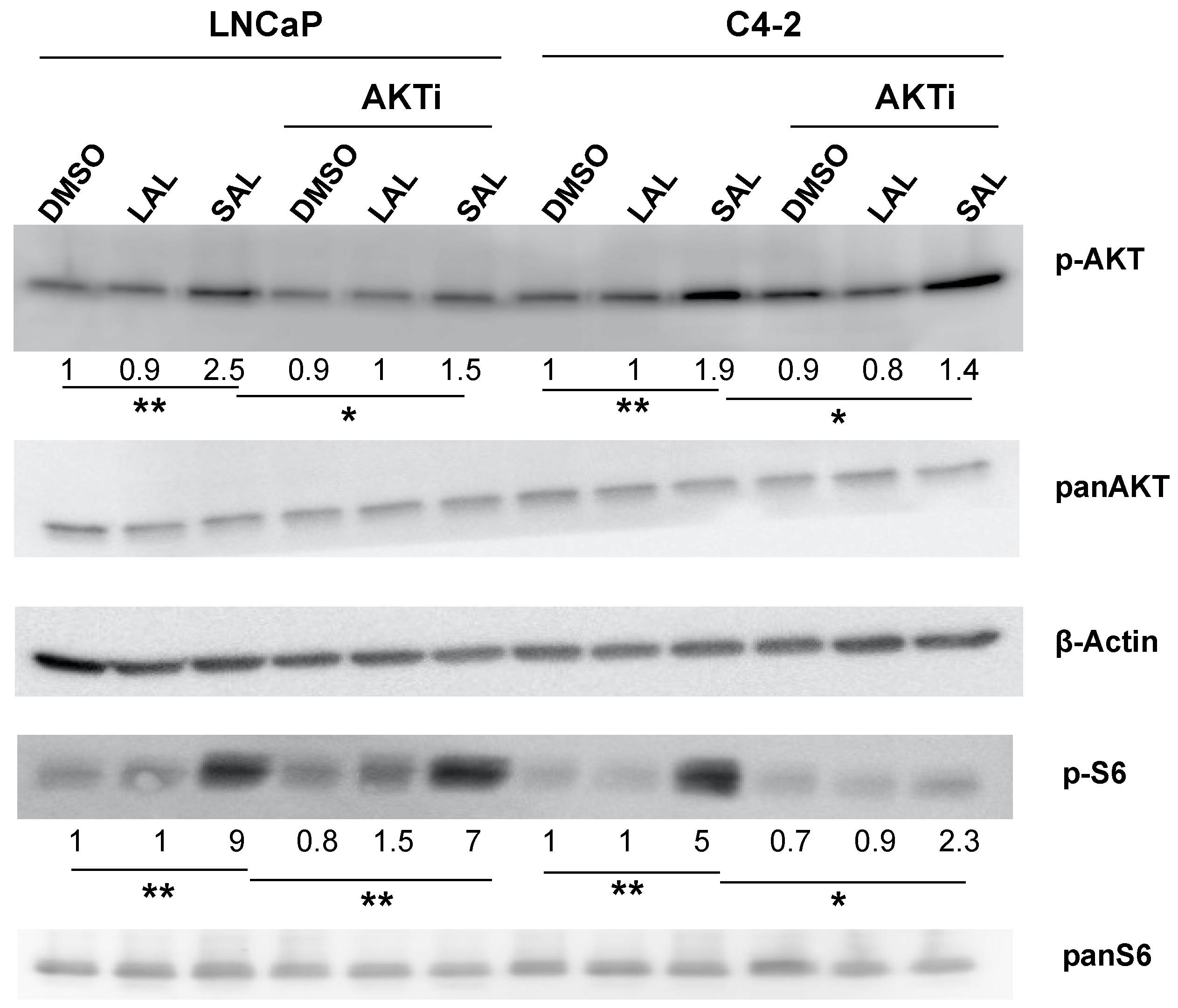 Biomolecules 12 01048 g004 Biomolecules 12 01048 g004