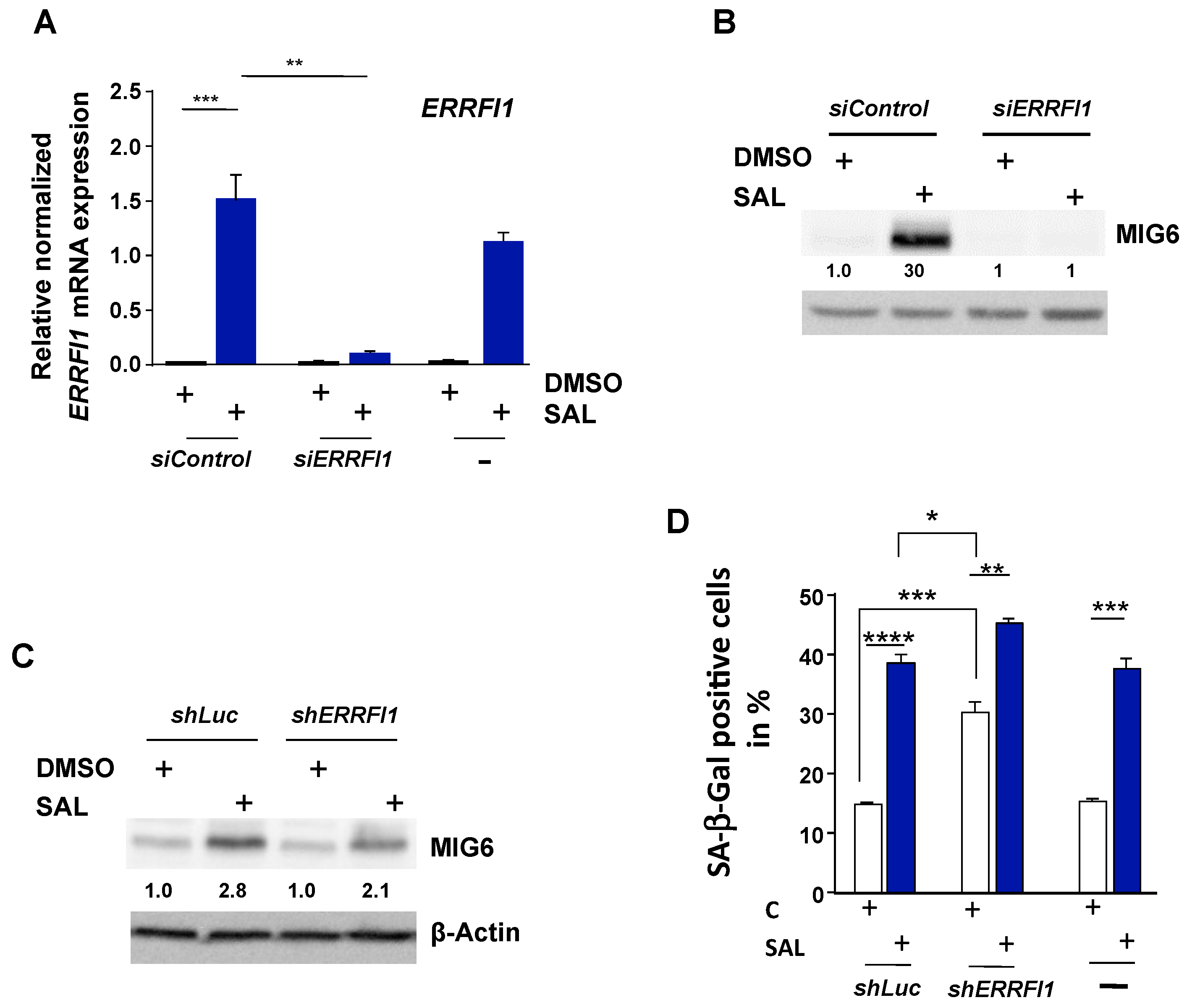 Biomolecules 12 01048 g005 Biomolecules 12 01048 g005