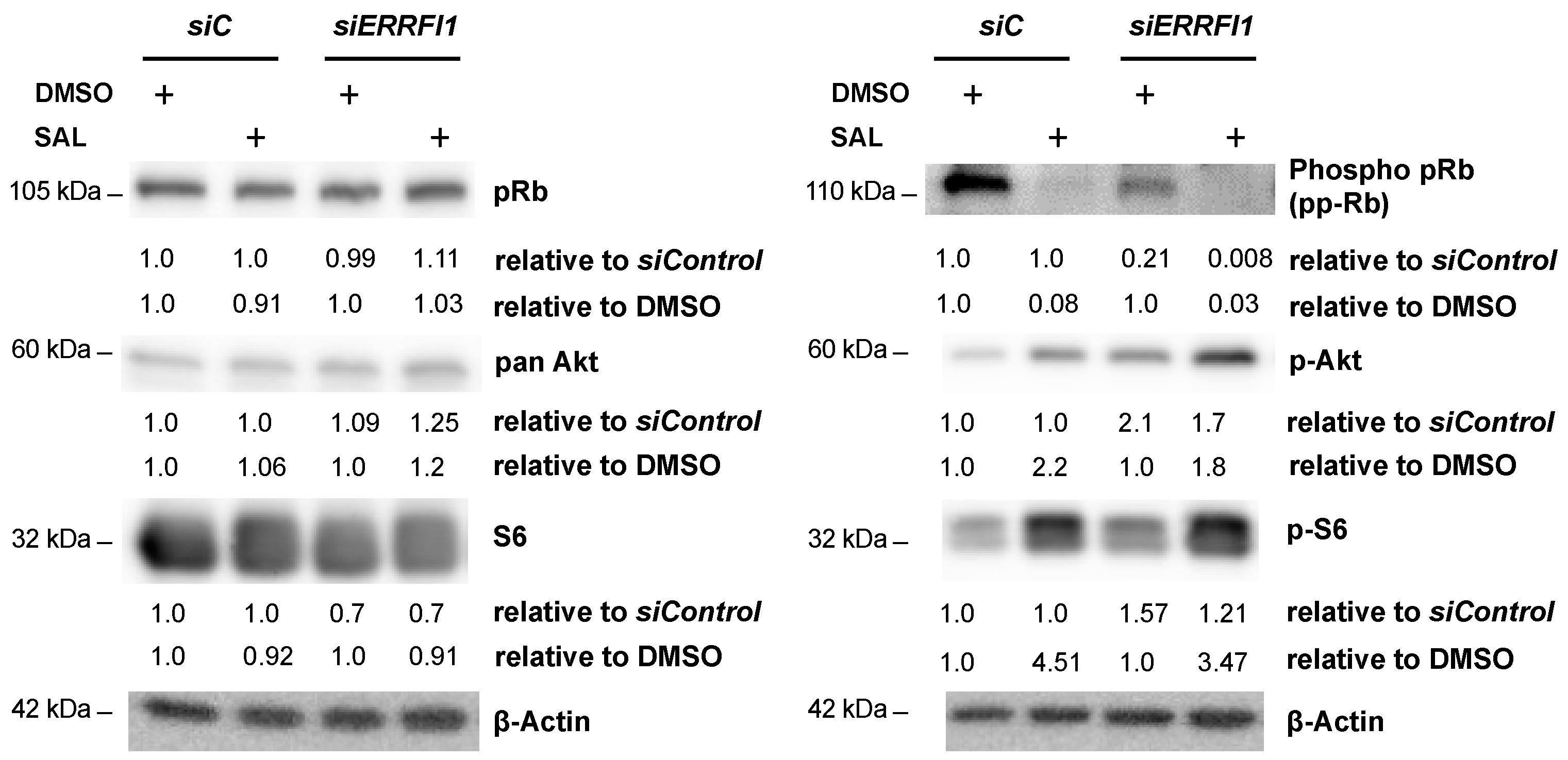 Biomolecules 12 01048 g006 Biomolecules 12 01048 g006