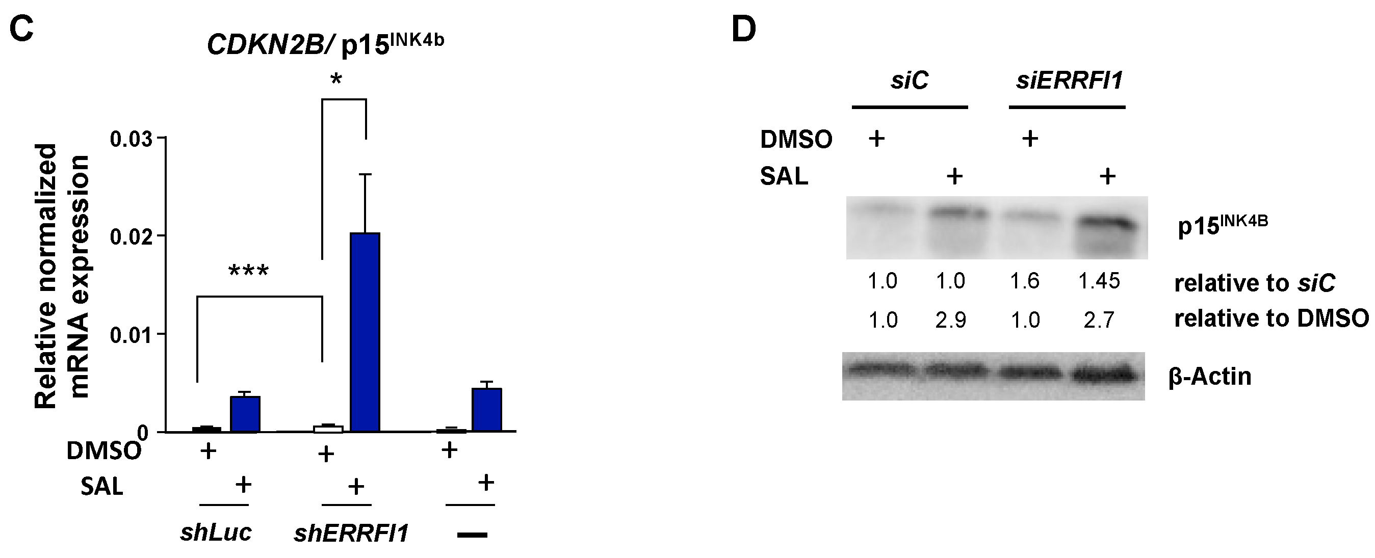 Biomolecules 12 01048 g007b Biomolecules 12 01048 g007b