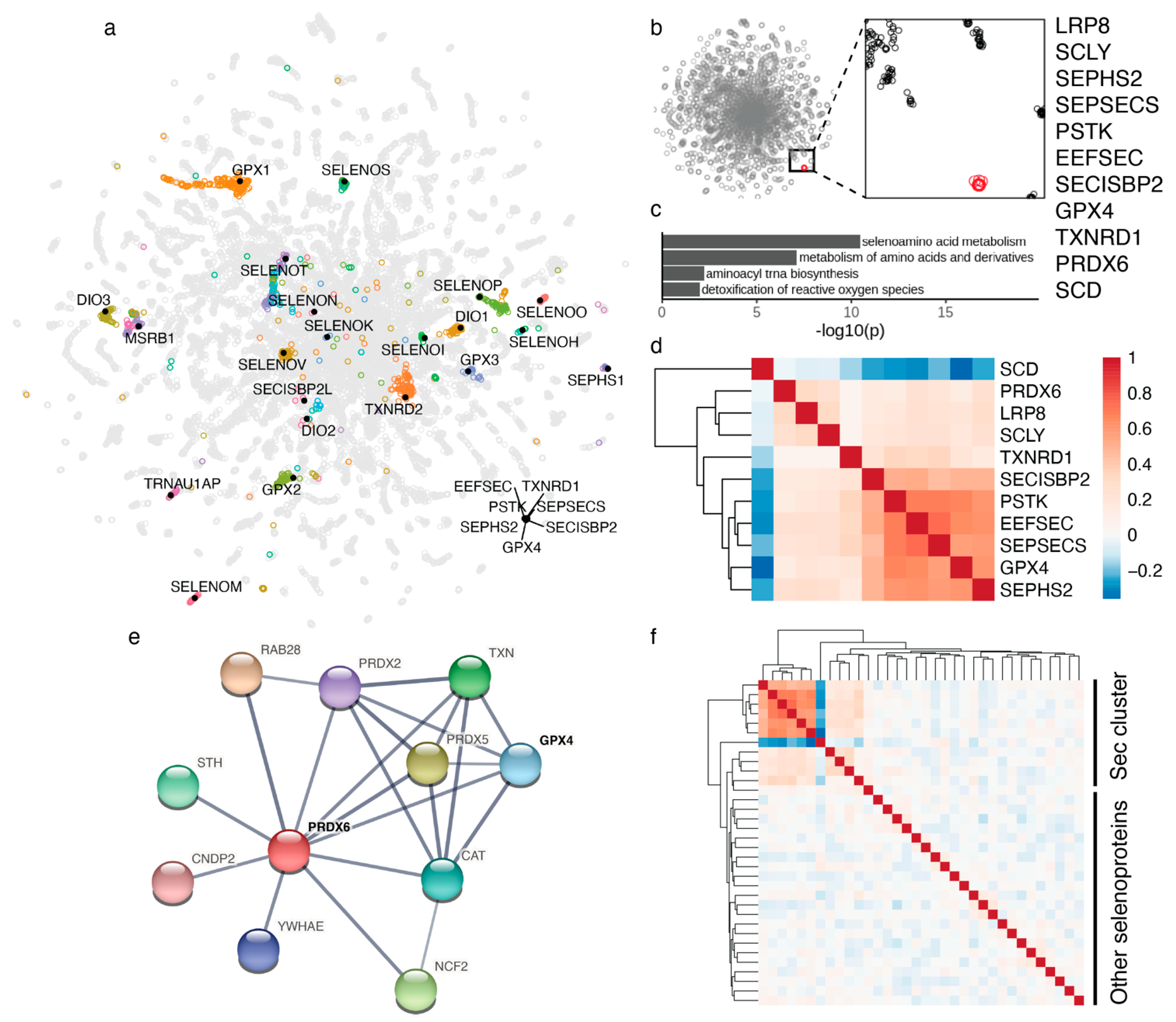 Biomolecules 12 01049 g001 Biomolecules 12 01049 g001