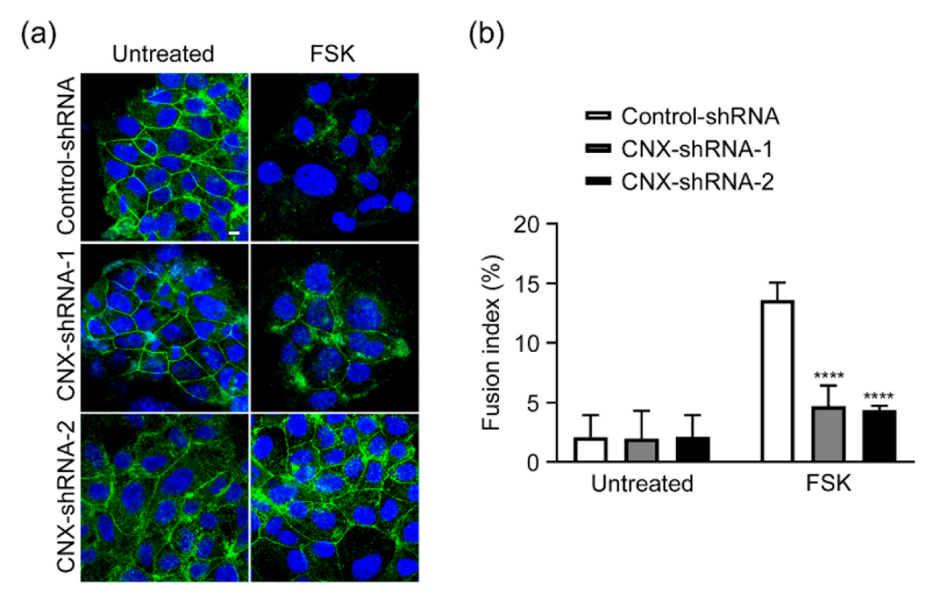 Biomolecules 12 01050 g002