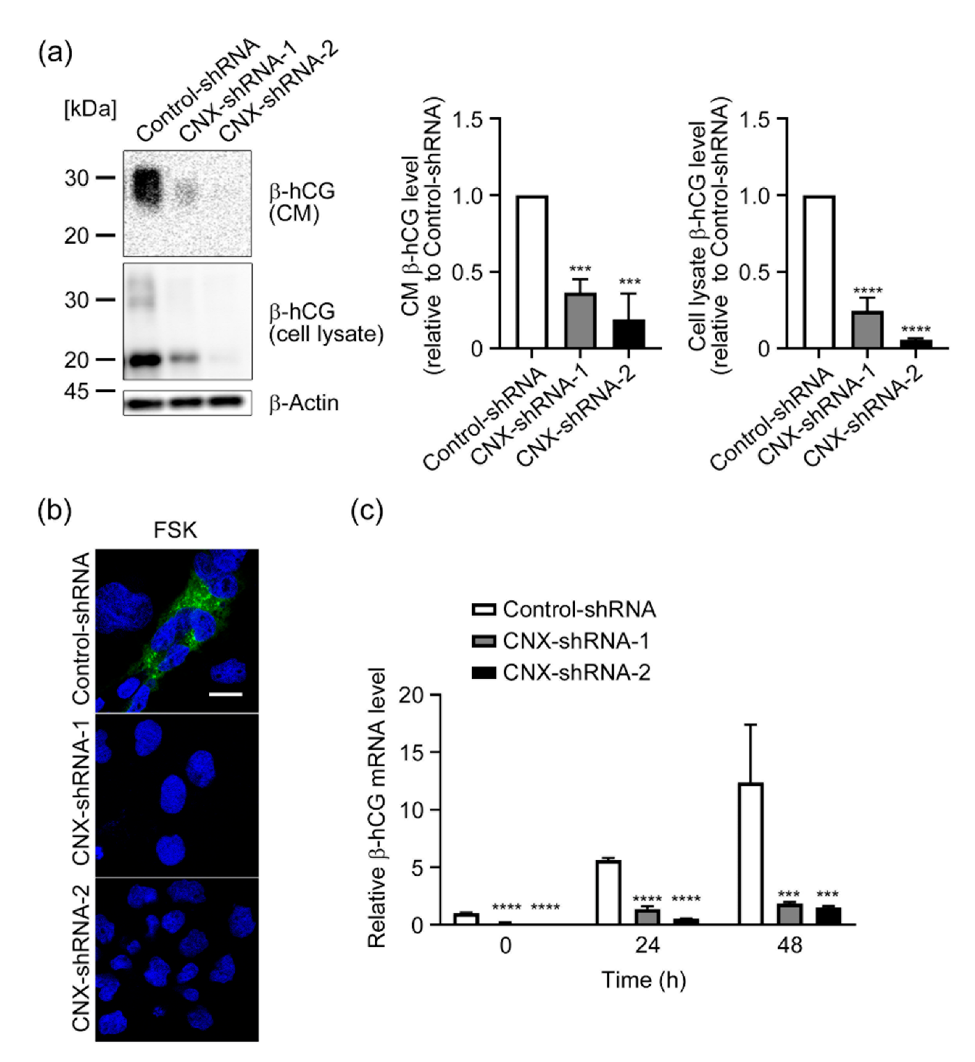 Biomolecules 12 01050 g003