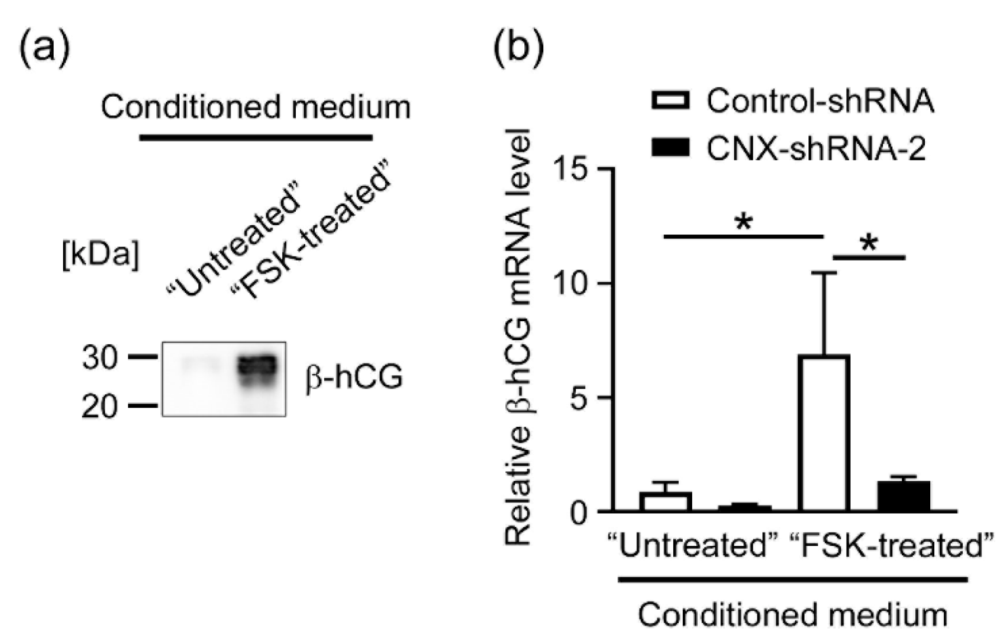 Biomolecules 12 01050 g005