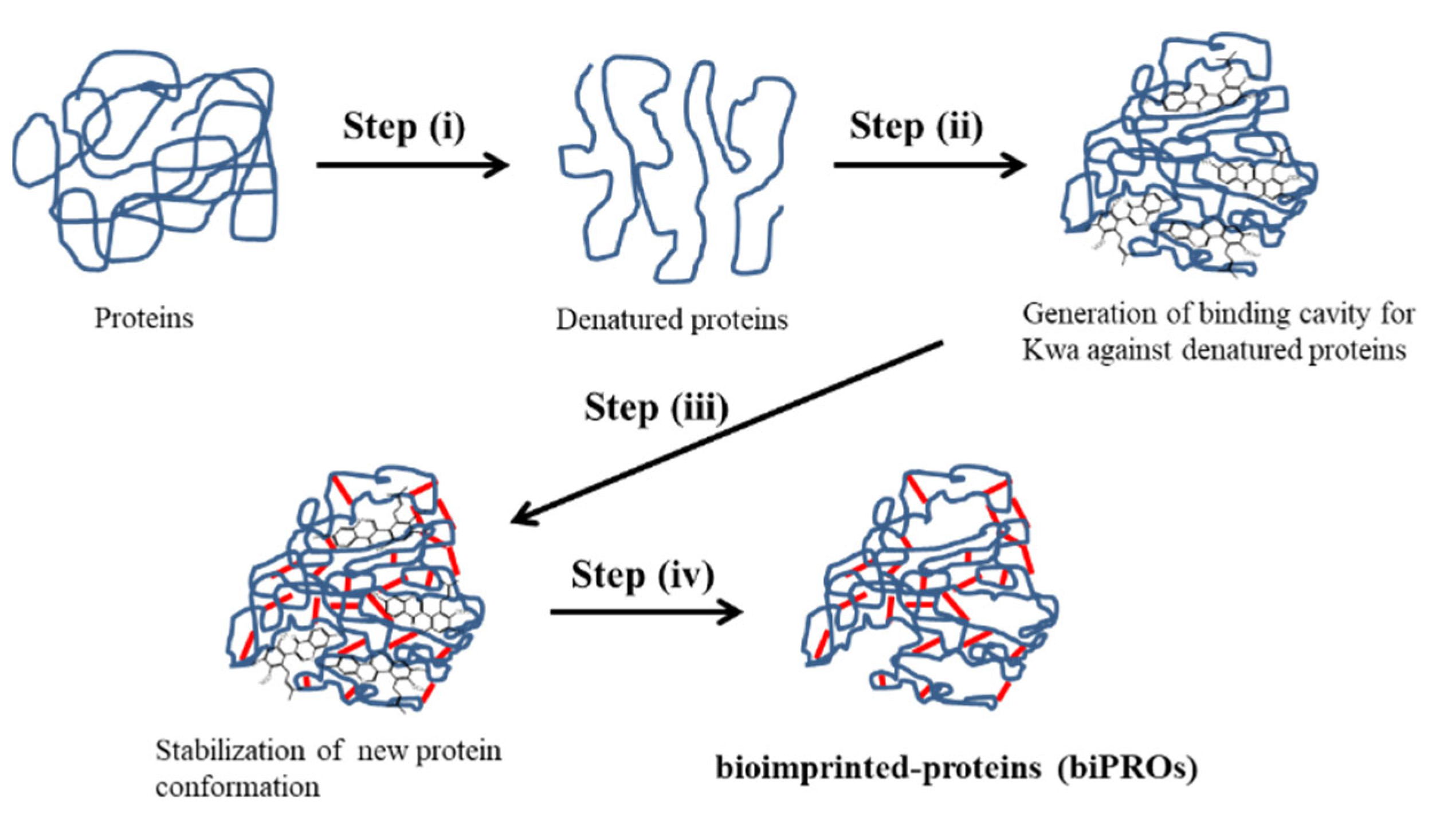 Biomolecules 12 01064 g001 Biomolecules 12 01064 g001