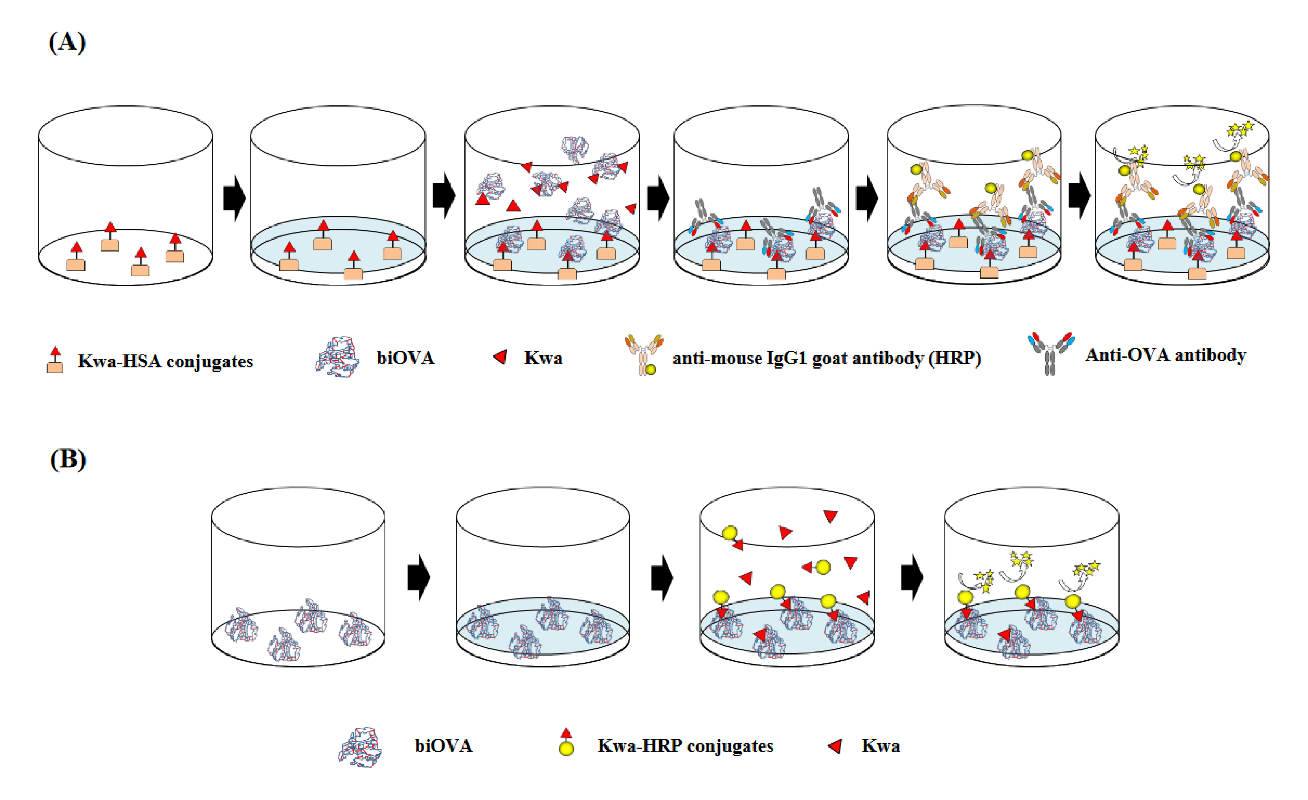 Biomolecules 12 01064 g002 Biomolecules 12 01064 g002