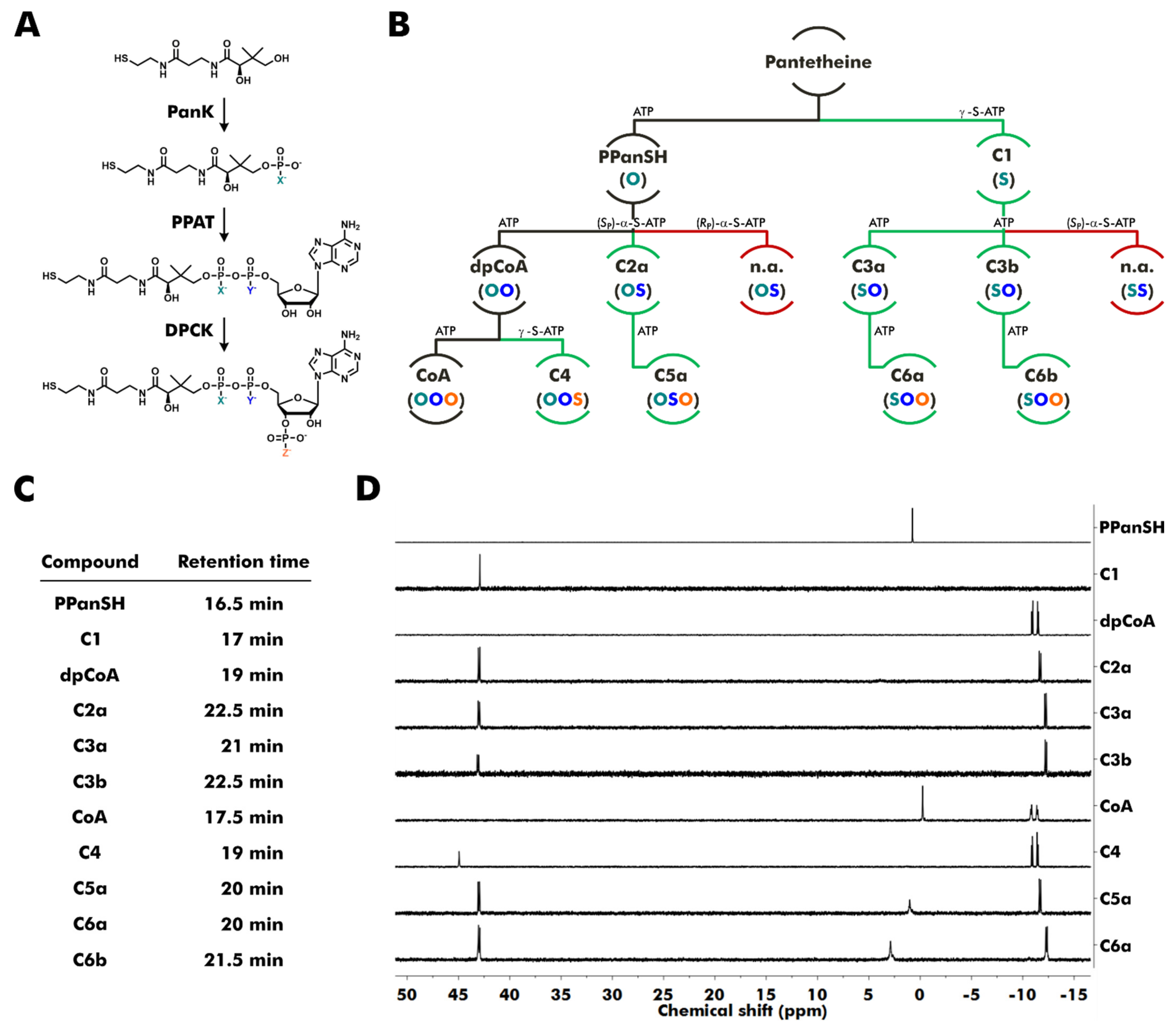 Biomolecules 12 01065 g001
