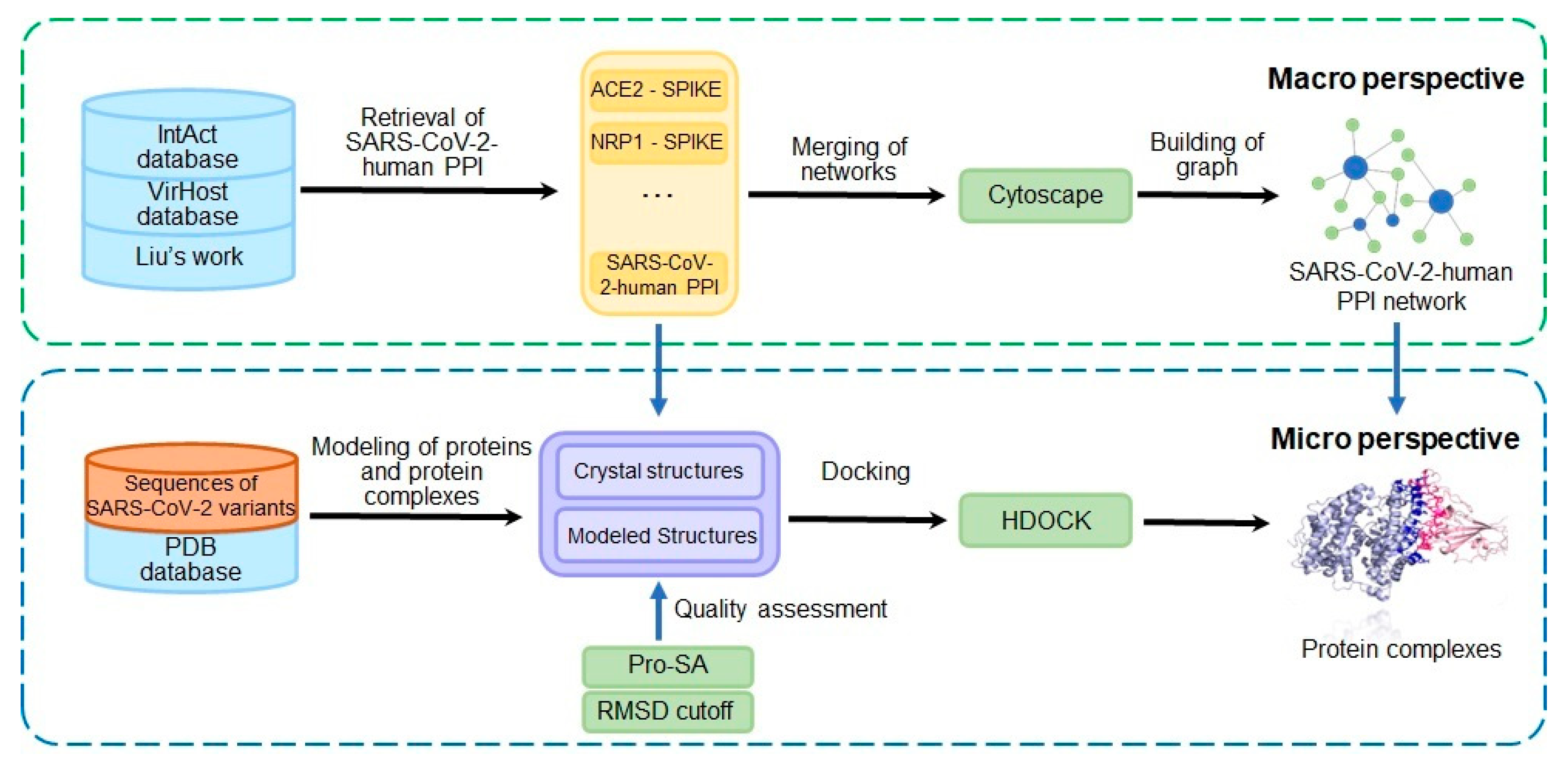Biomolecules 12 01067 g001 Biomolecules 12 01067 g001