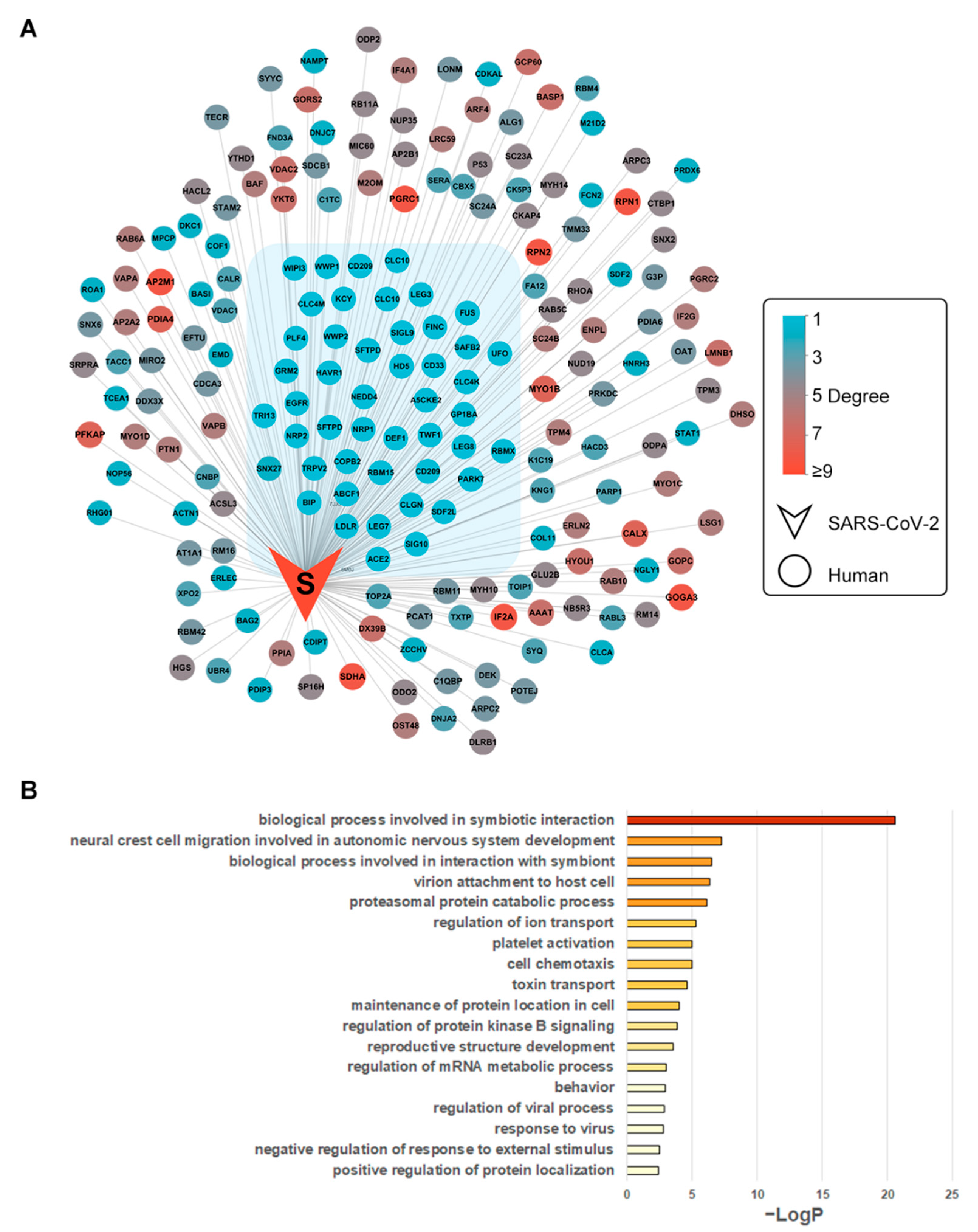Biomolecules 12 01067 g002 Biomolecules 12 01067 g002