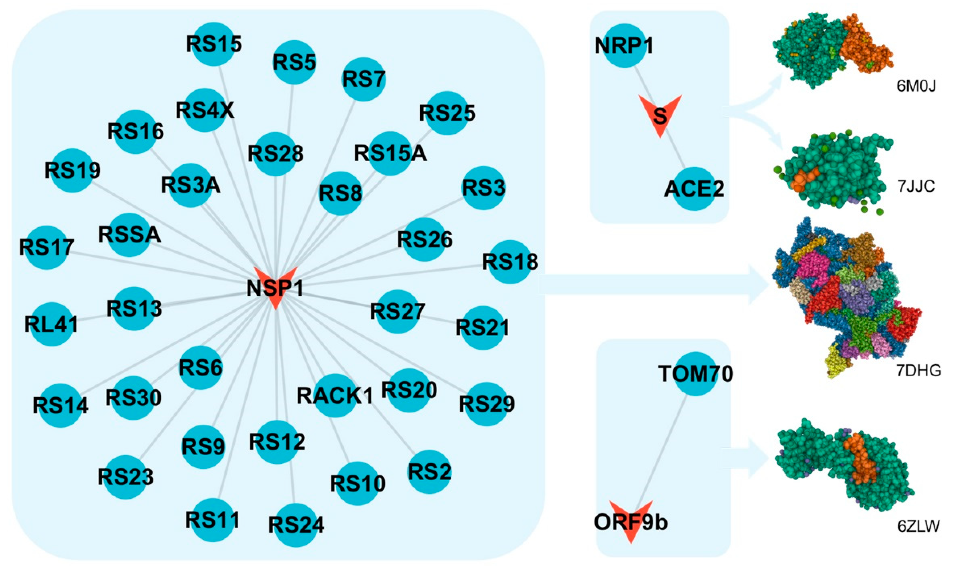 Biomolecules 12 01067 g003 Biomolecules 12 01067 g003