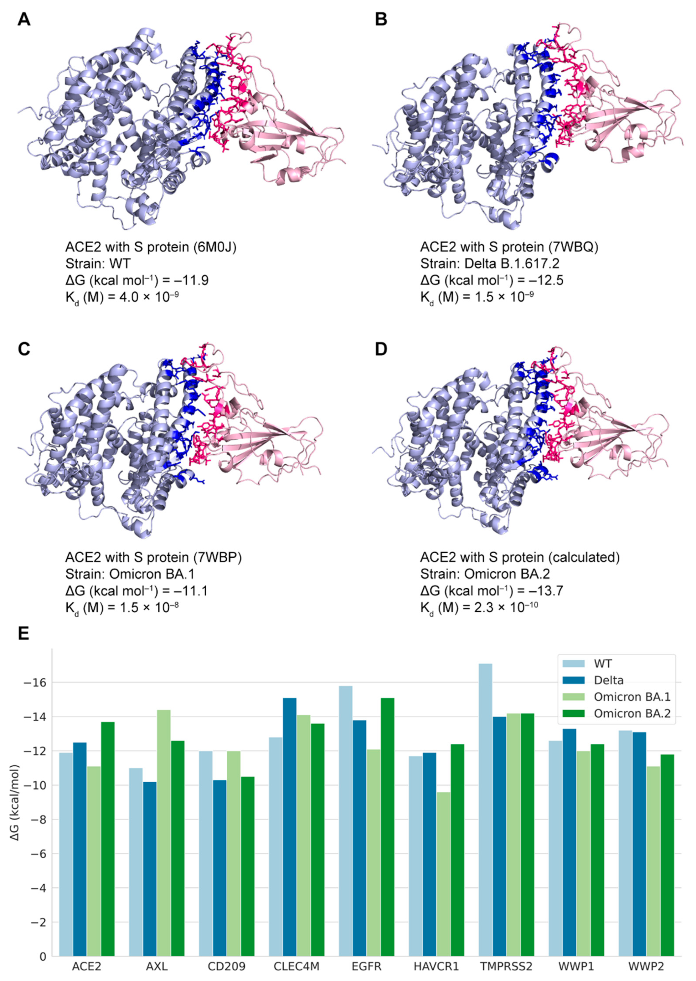 Biomolecules 12 01067 g004 Biomolecules 12 01067 g004