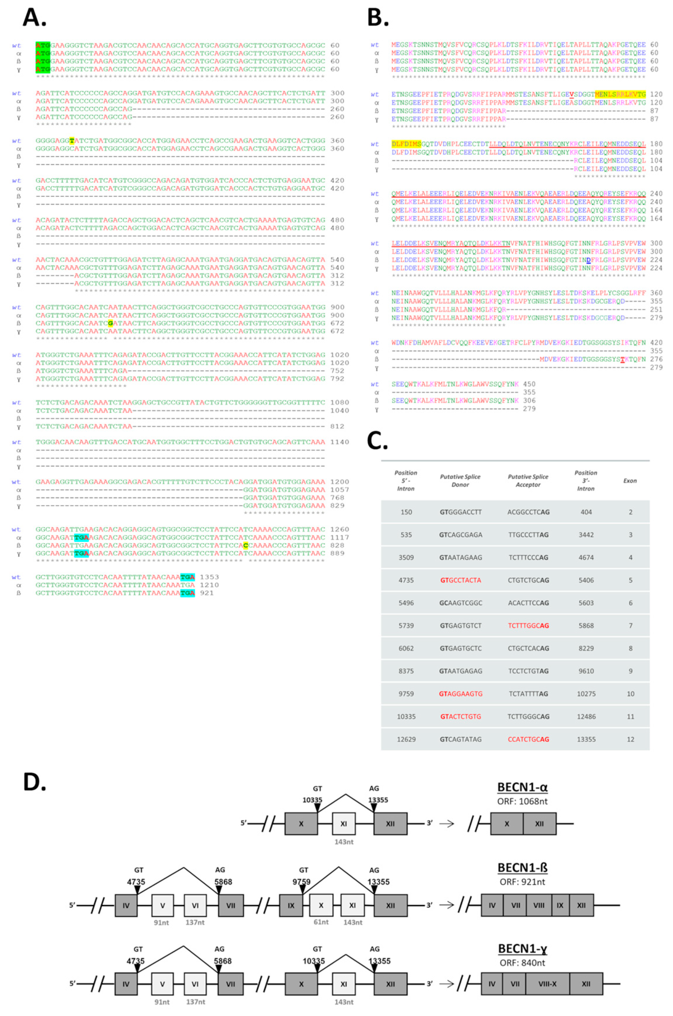 Biomolecules 12 01069 g002