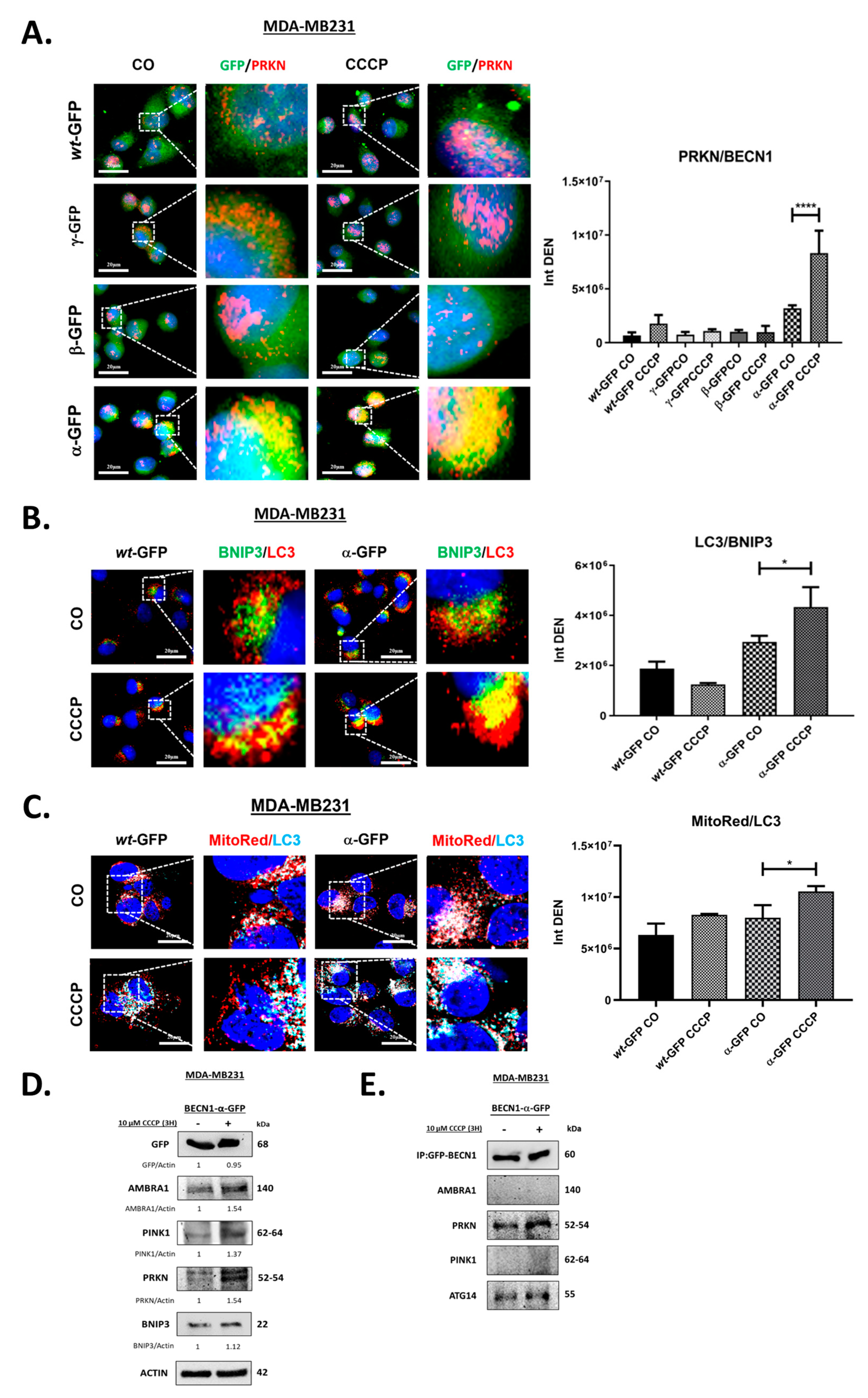 Biomolecules 12 01069 g005