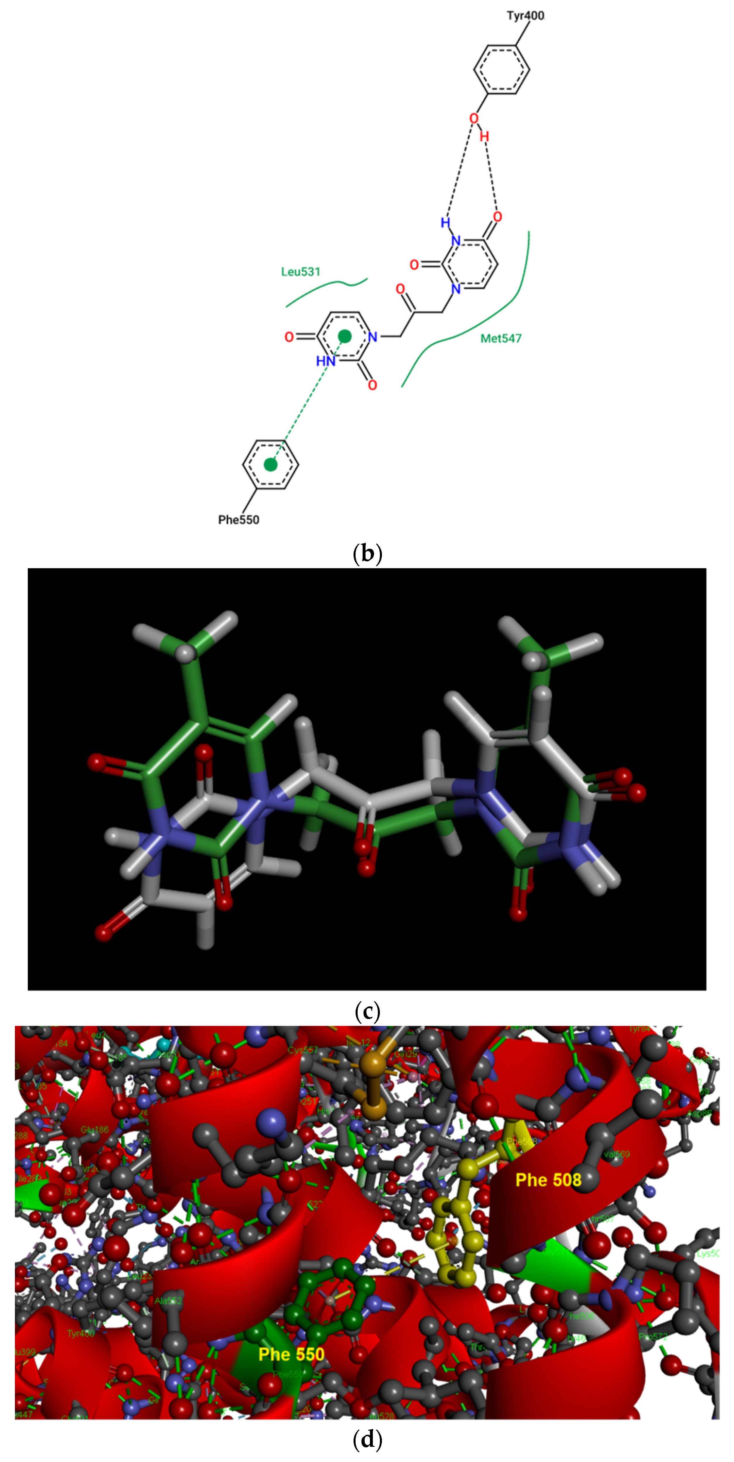Biomolecules 12 01071 g004b