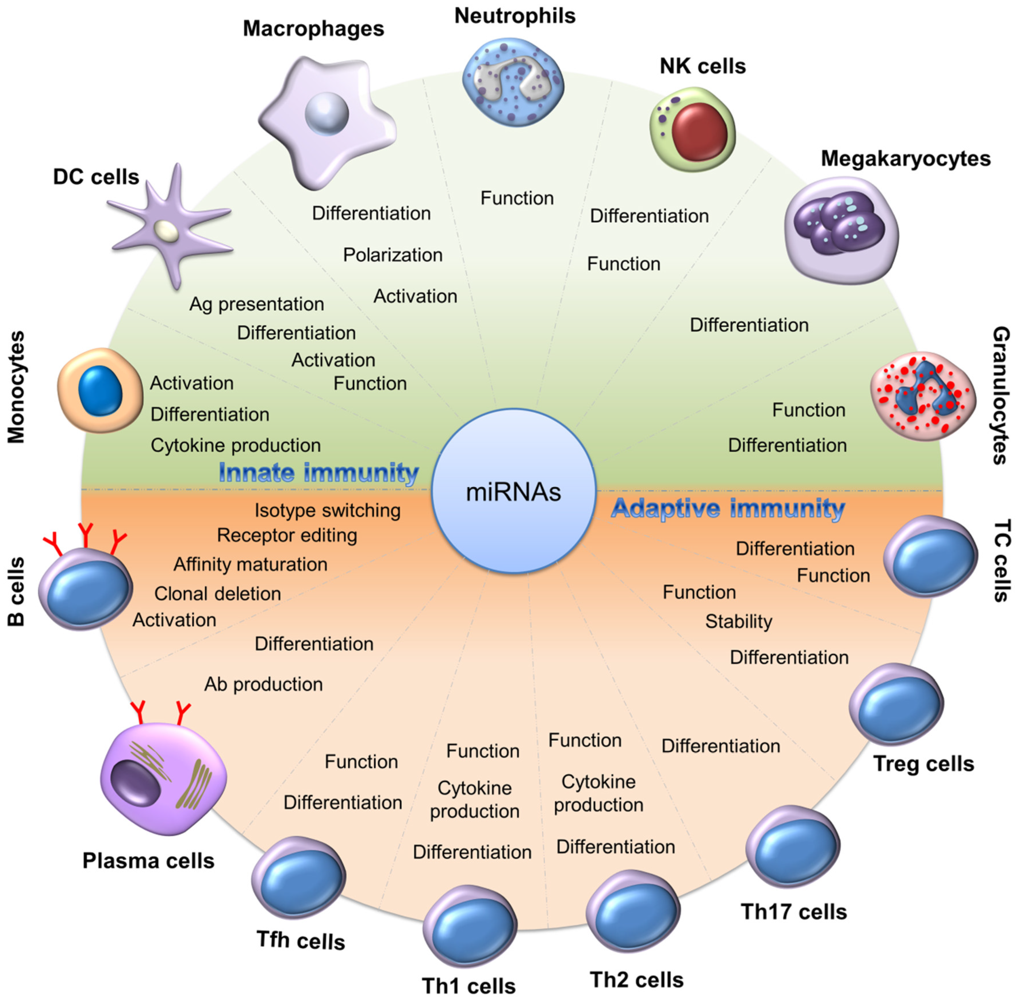 Biomolecules 12 01072 g002