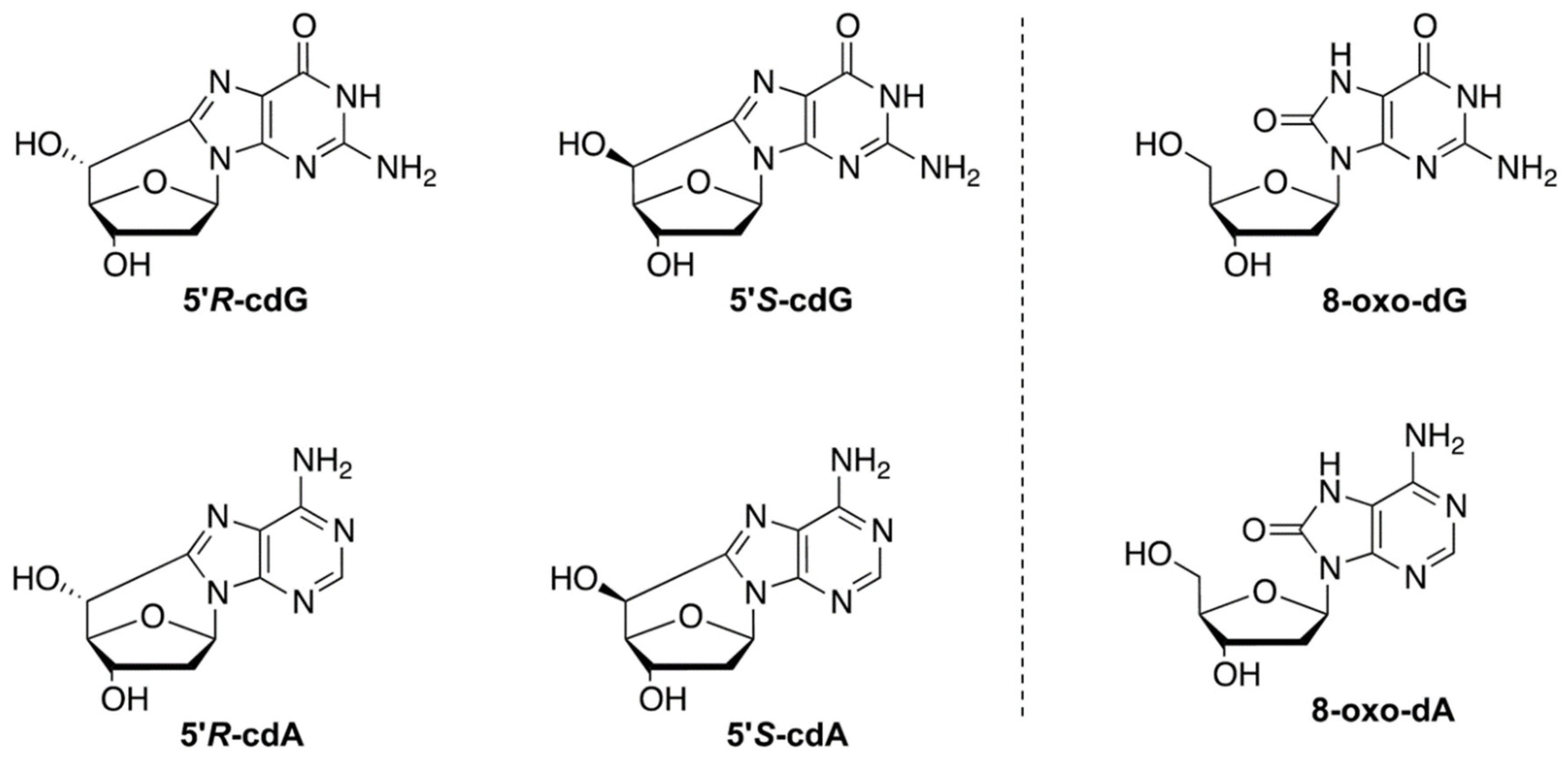 Biomolecules 12 01075 g001