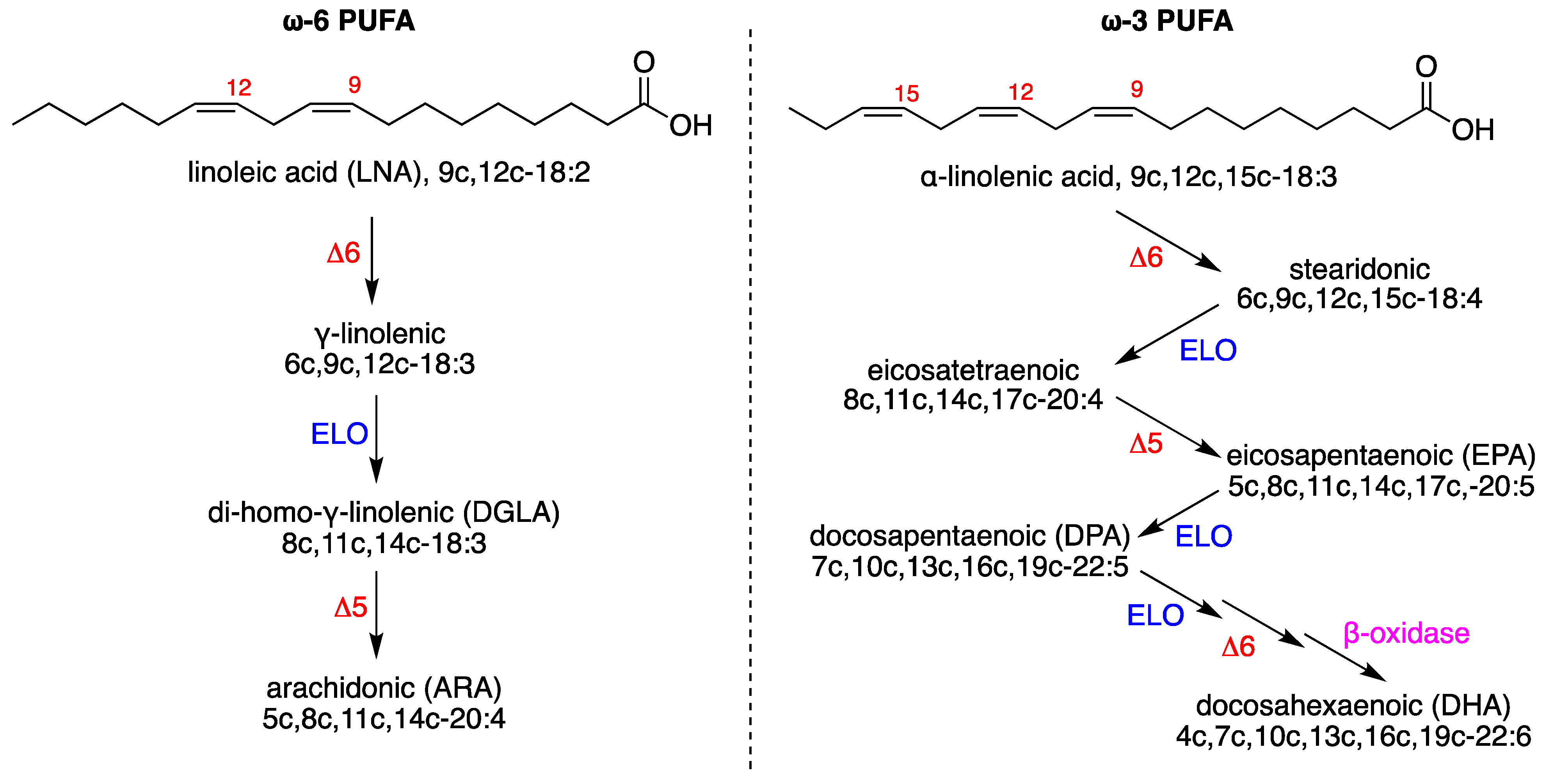 Biomolecules 12 01075 g002