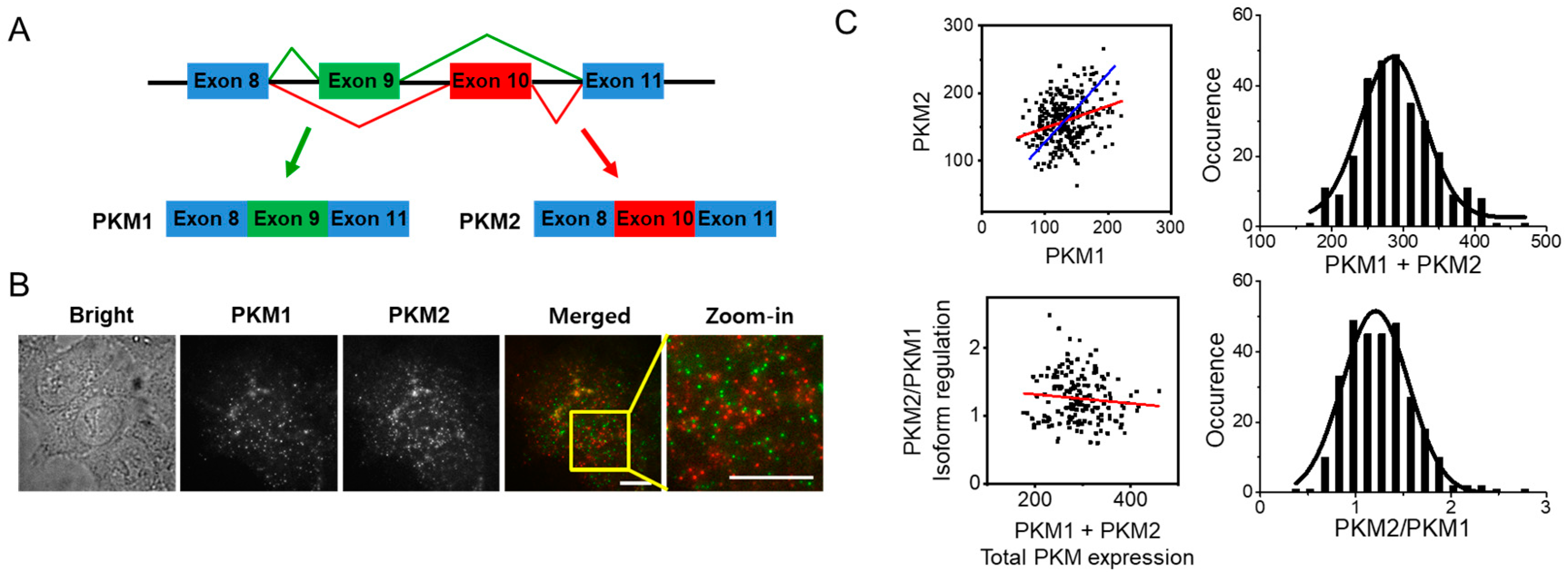 Biomolecules 12 01082 g001