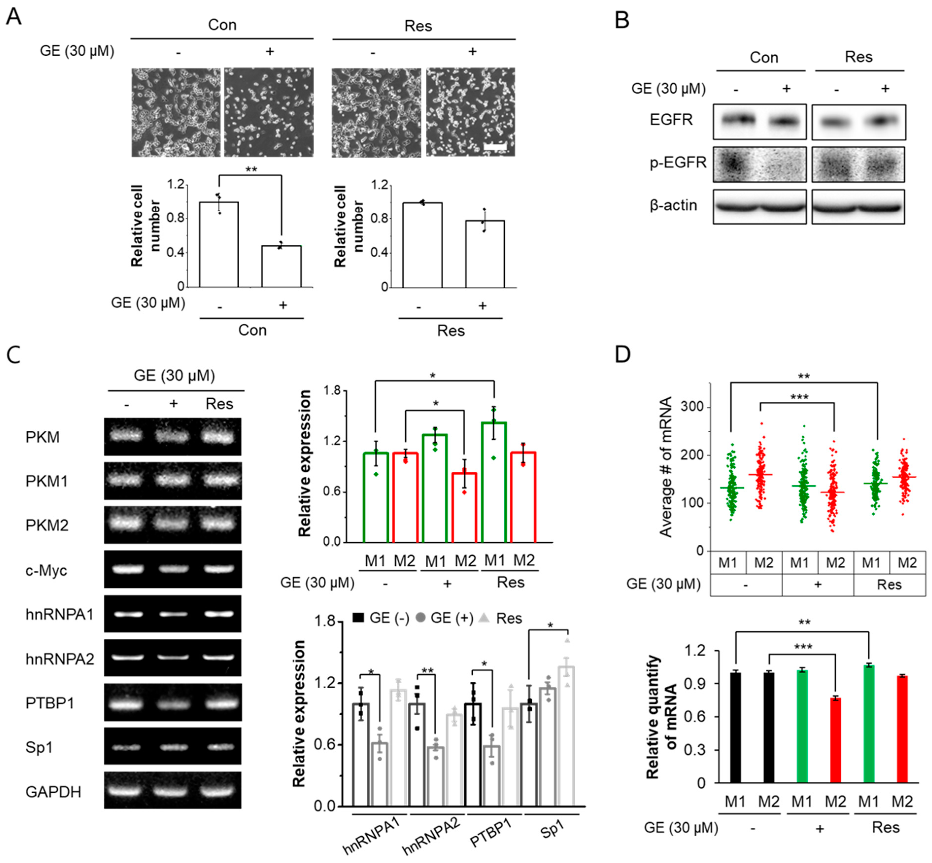 Biomolecules 12 01082 g003