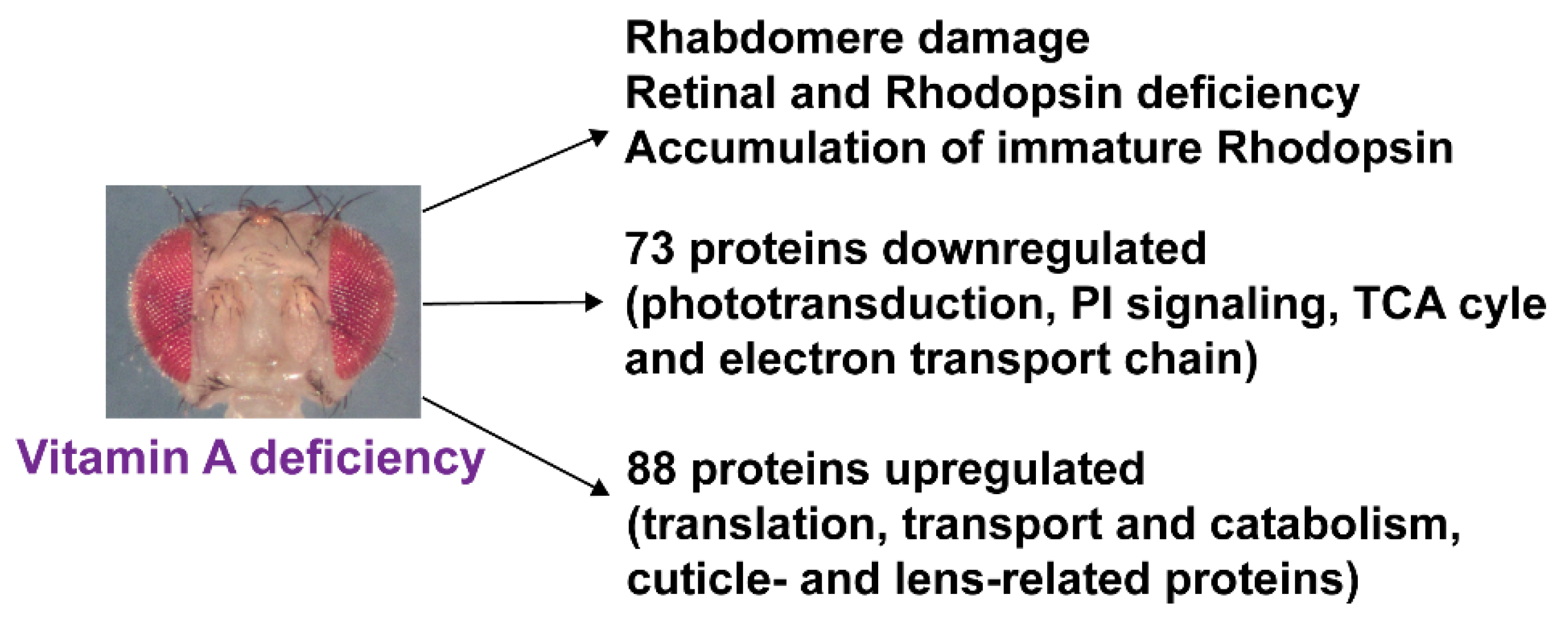 Biomolecules 12 01083 g007