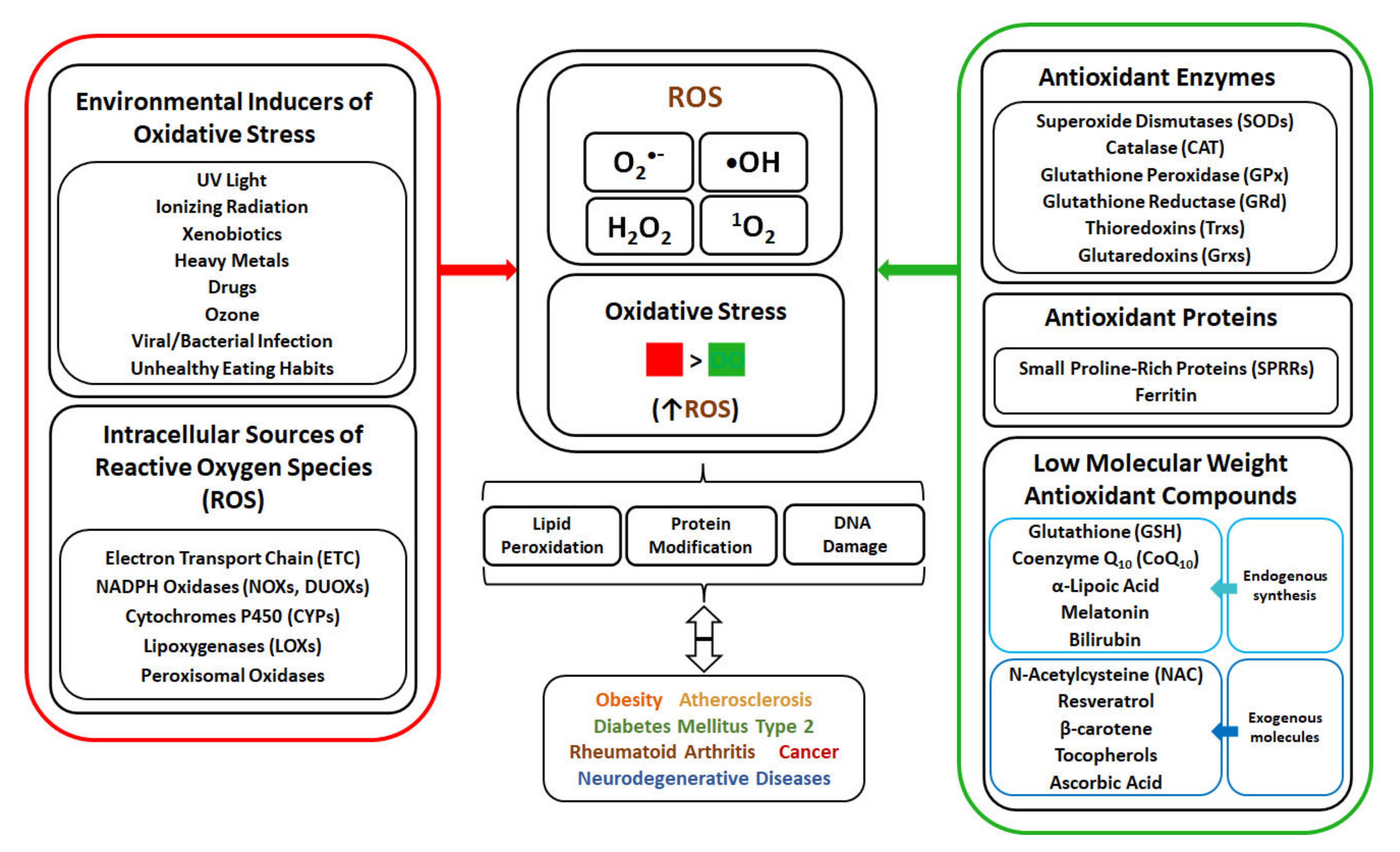 Biomolecules 12 01087 g001 Biomolecules 12 01087 g001