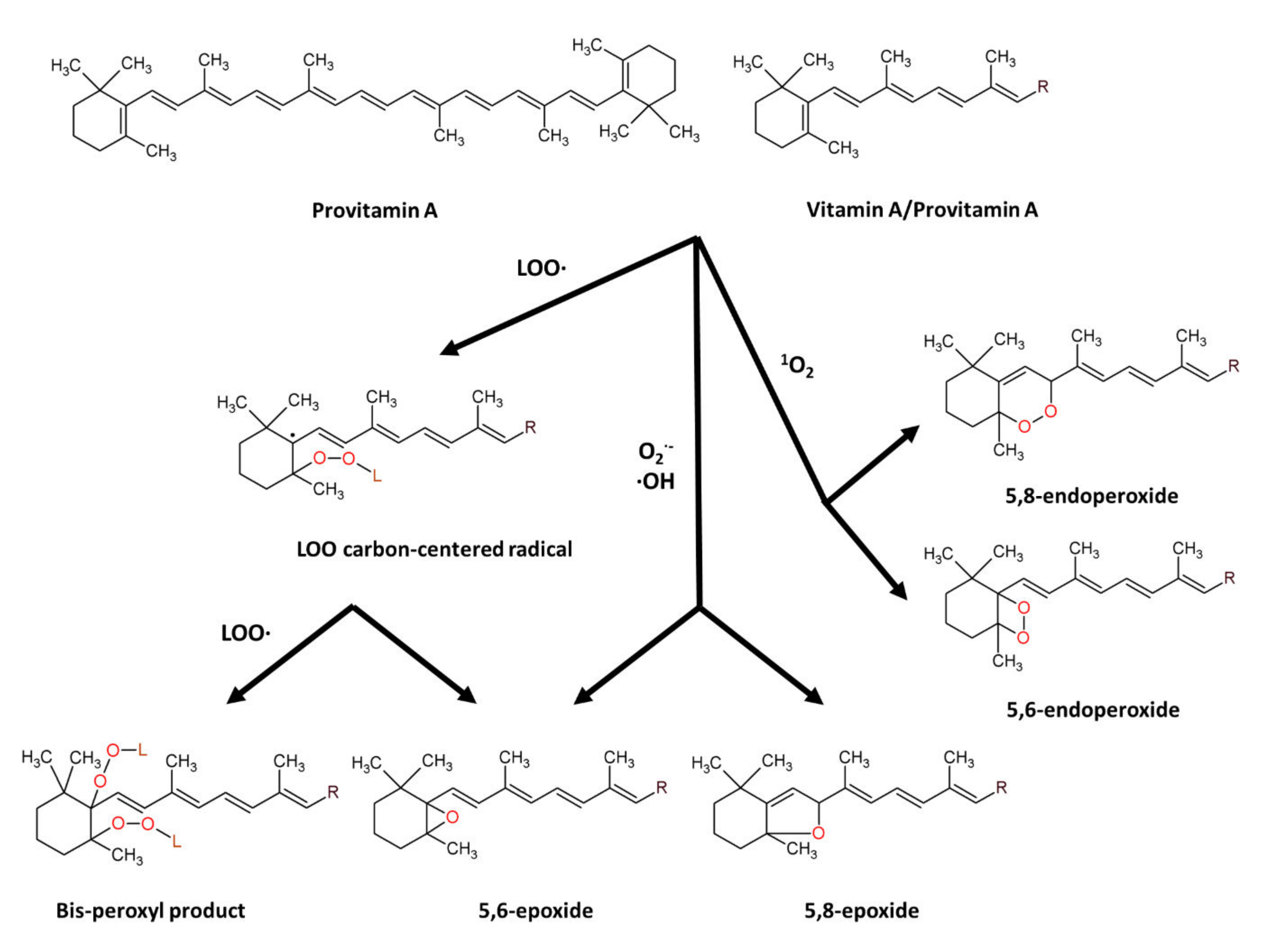 Biomolecules 12 01087 g002 Biomolecules 12 01087 g002